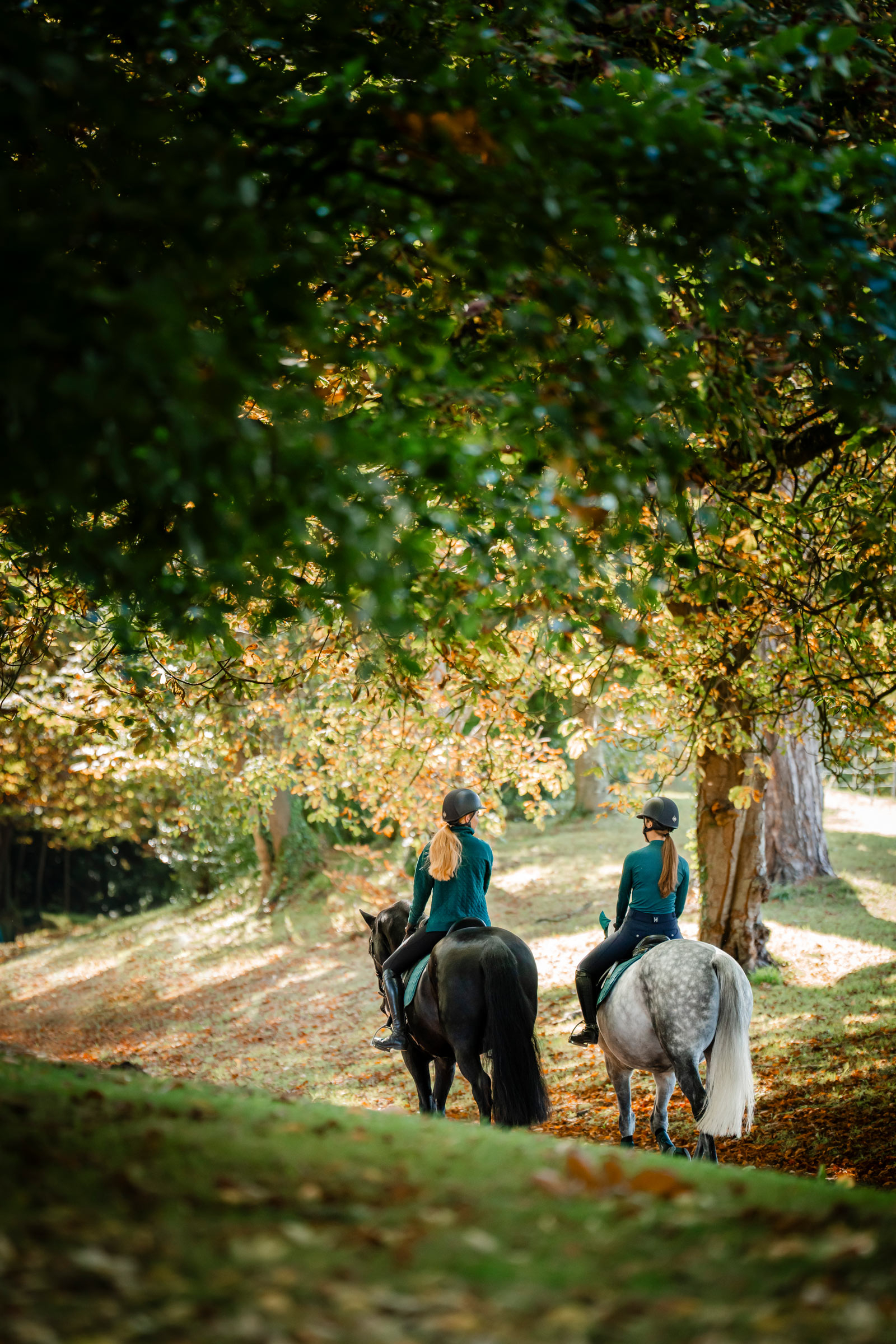 Horseware Strive Winter camiseta para mujer con cremallera 1/4