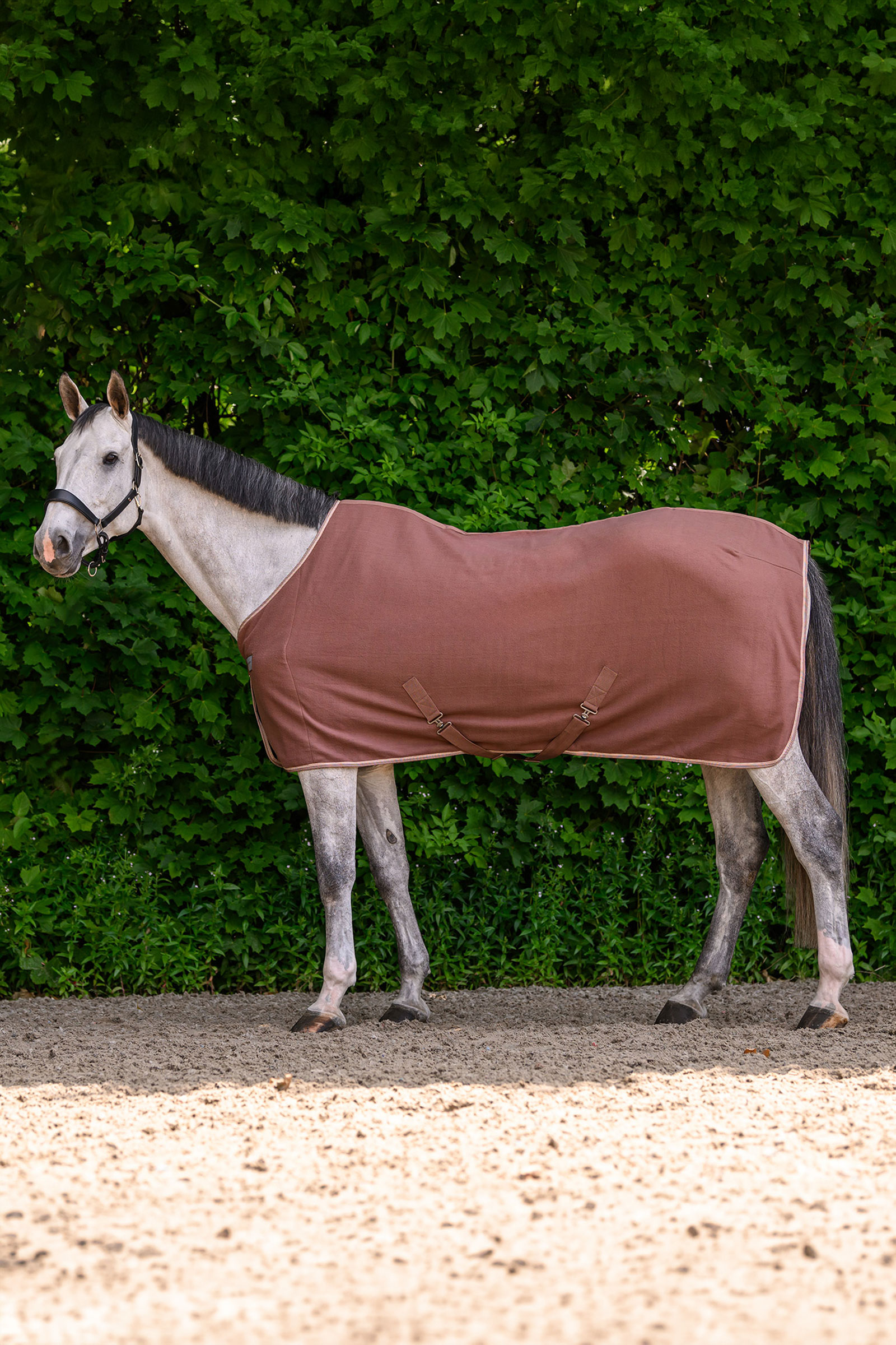 Mocca Waldhausen ECONOMIC manta polar con cinchas cruzadas