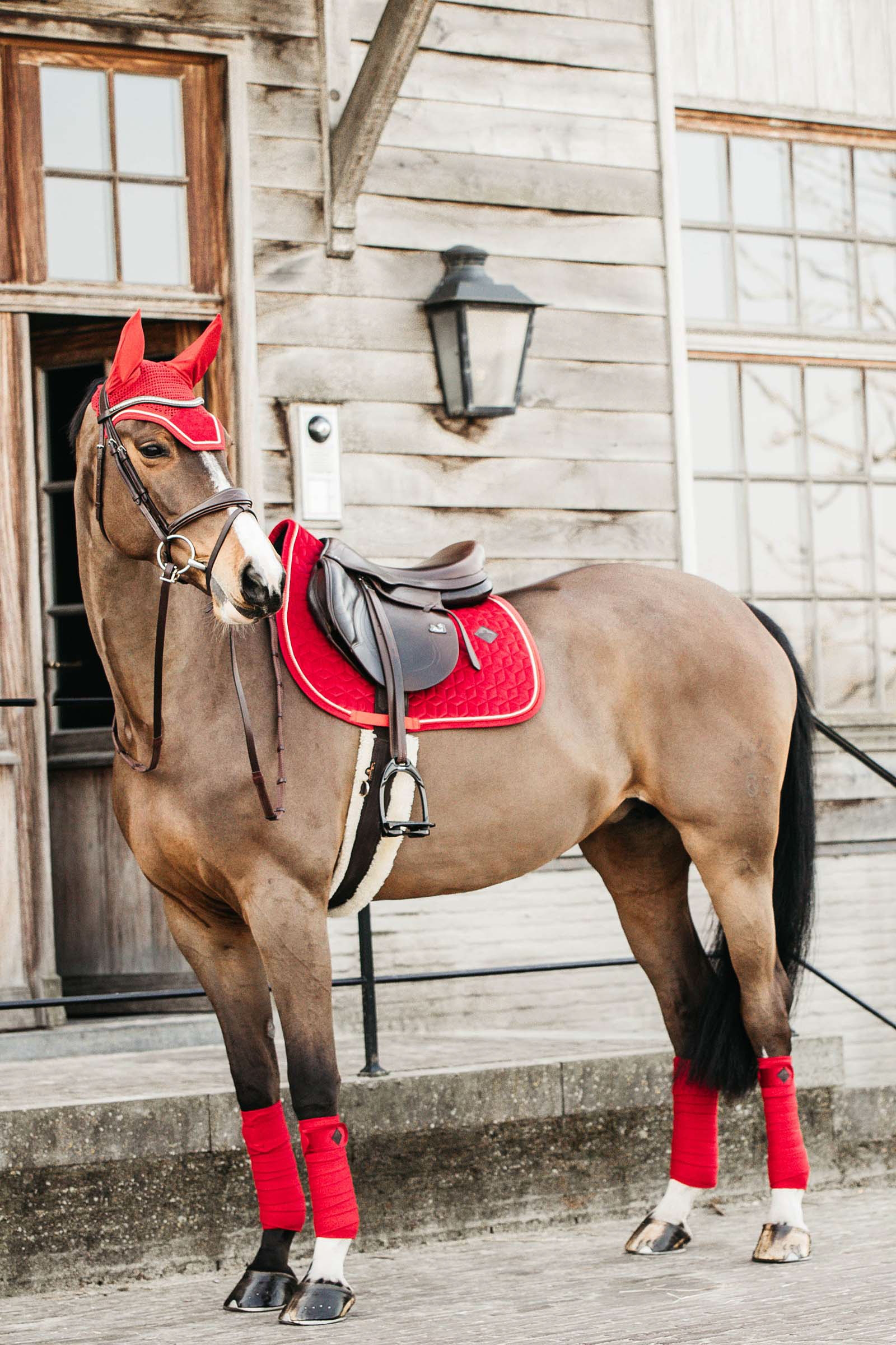 Kentucky Horsewear Velvet Mantilla de Salto 