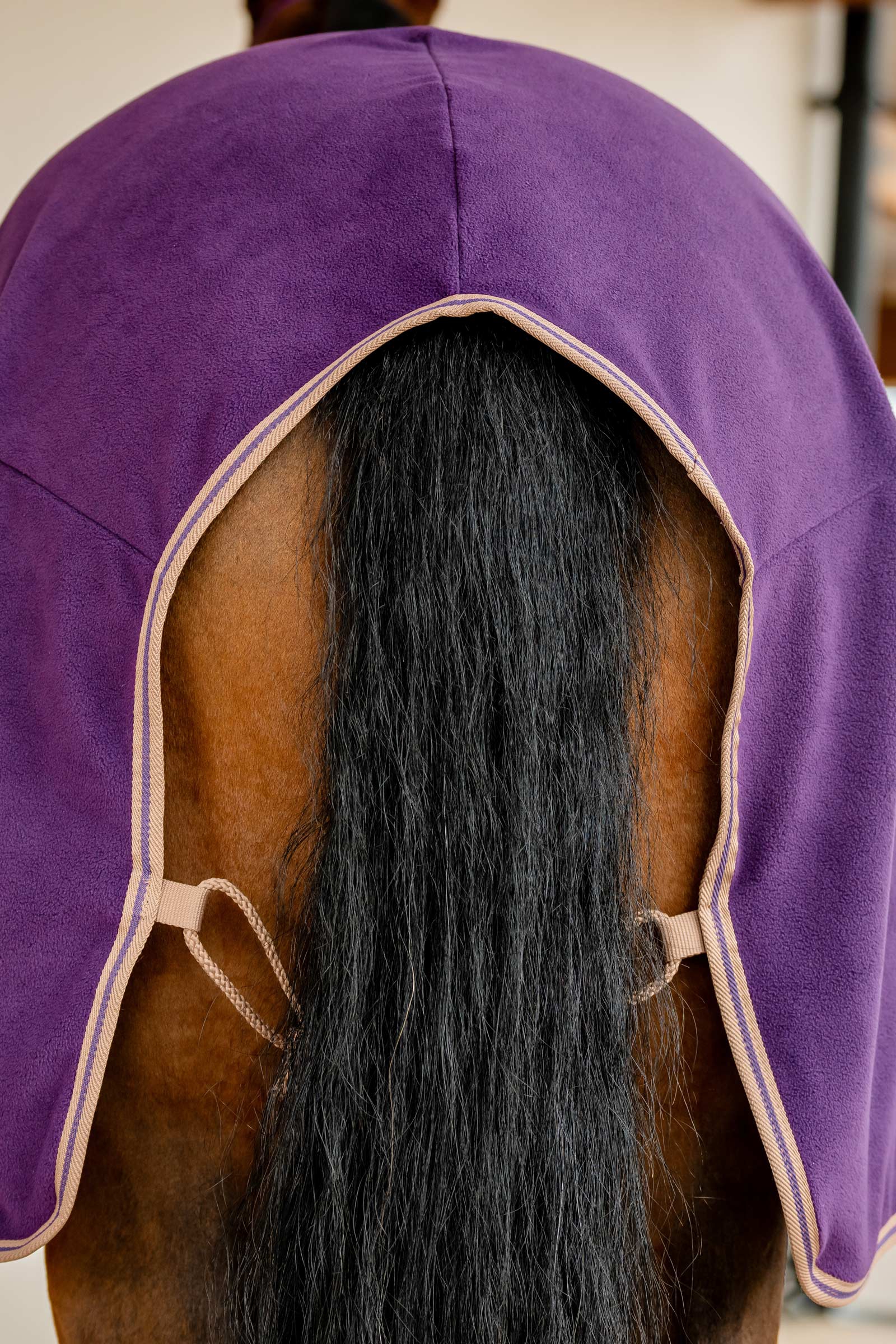 Horseware Amigo Manta Polar