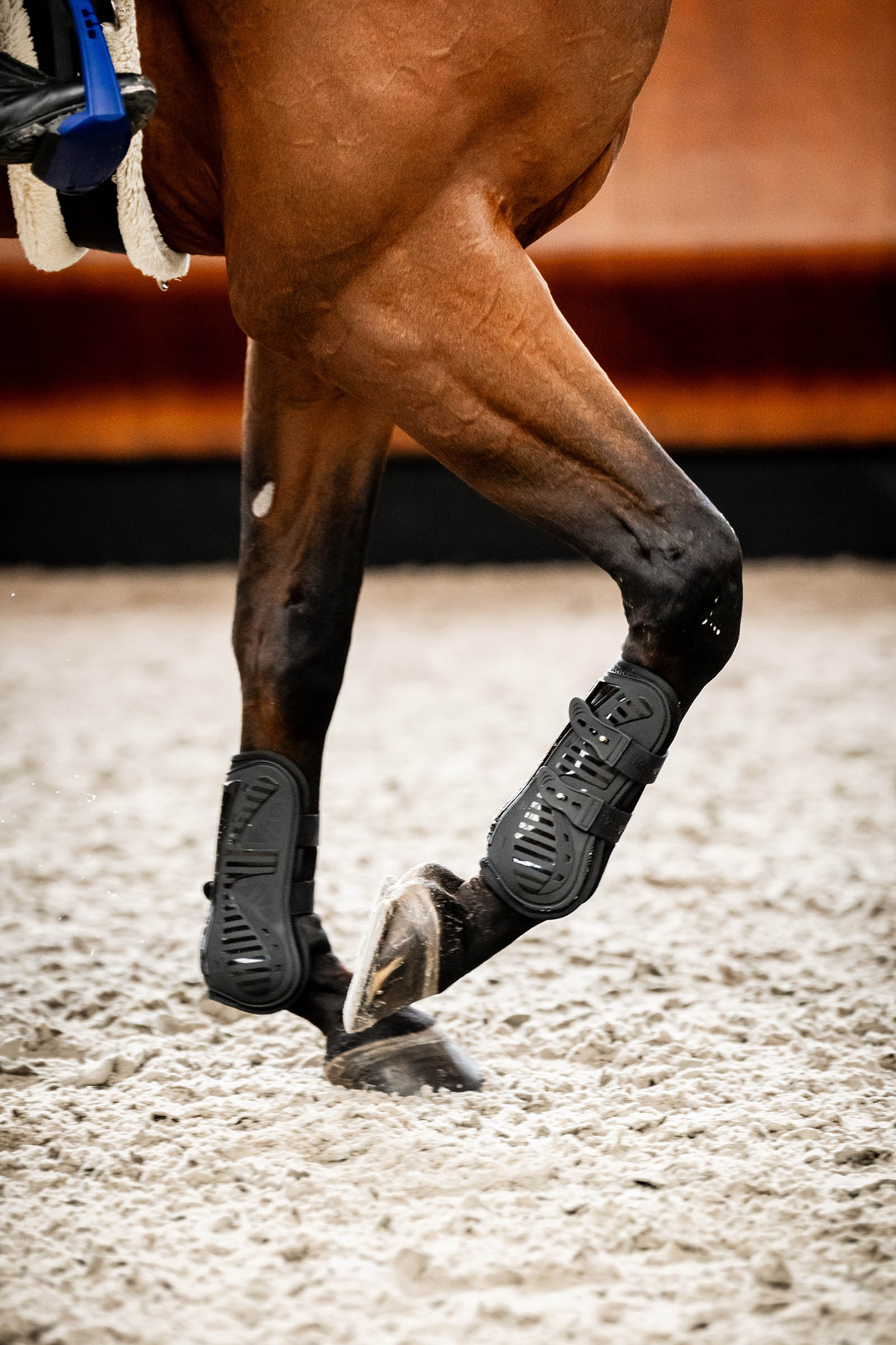 Horseware Pro Bamboo protectores de tend&oacute;n