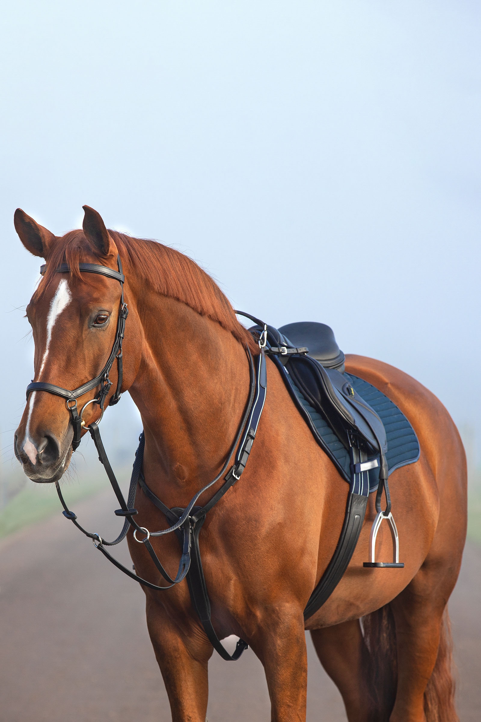 Horseware Rambo Micklem Breastplate