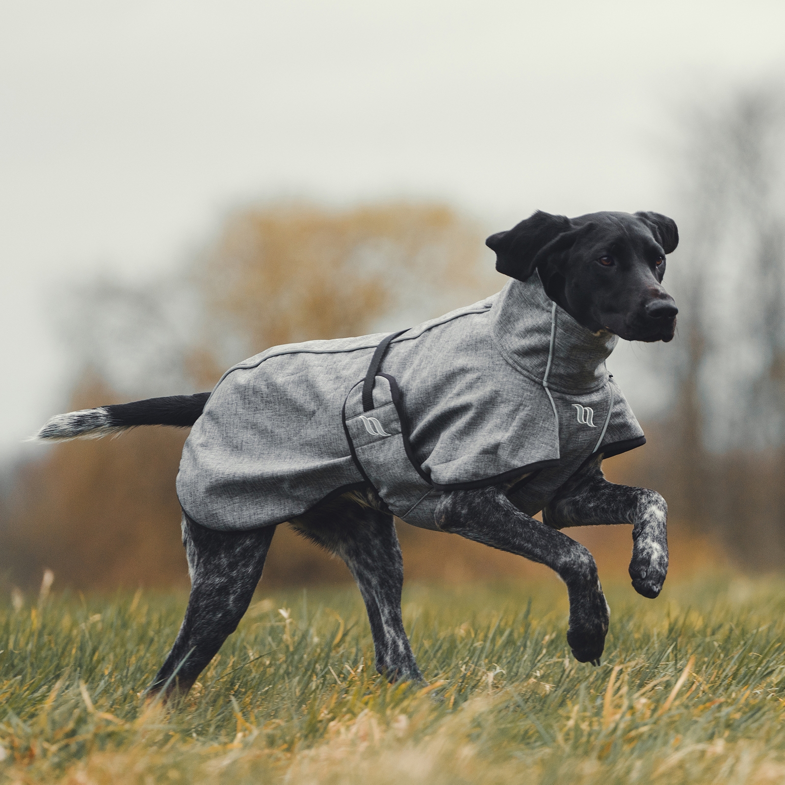 Abrigo para Perro Uso General Back on Track Nella, 25-35cm