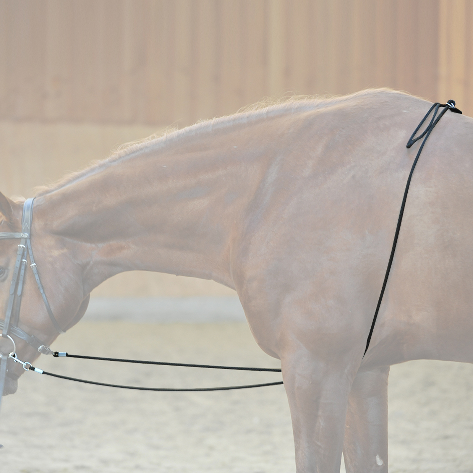 Ayuda para estocadas Kavalkade HO