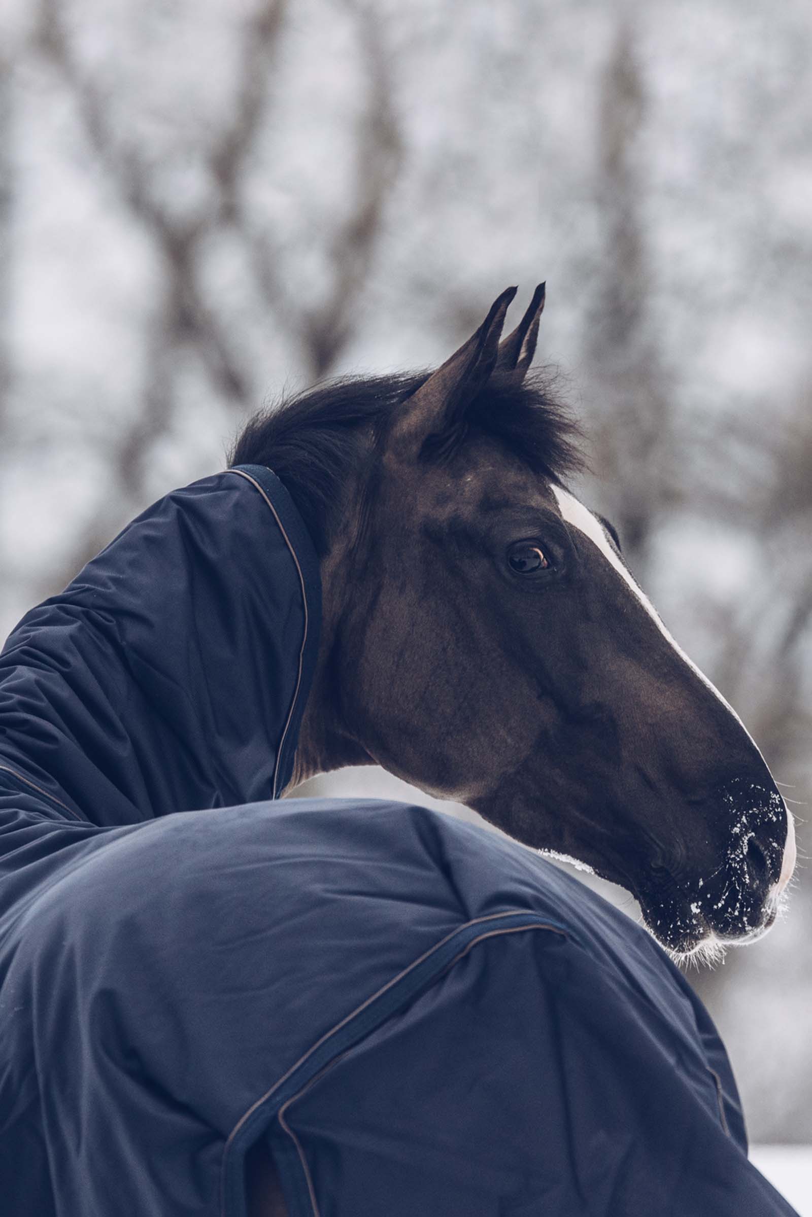 Manta de Exterior Impermeable Kentucky Horsewear All Weather Classic, 300g