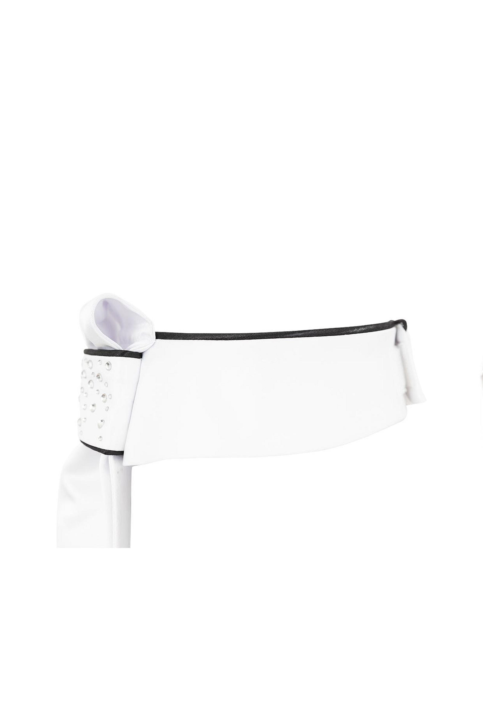 BR Leon plastr&oacute;n