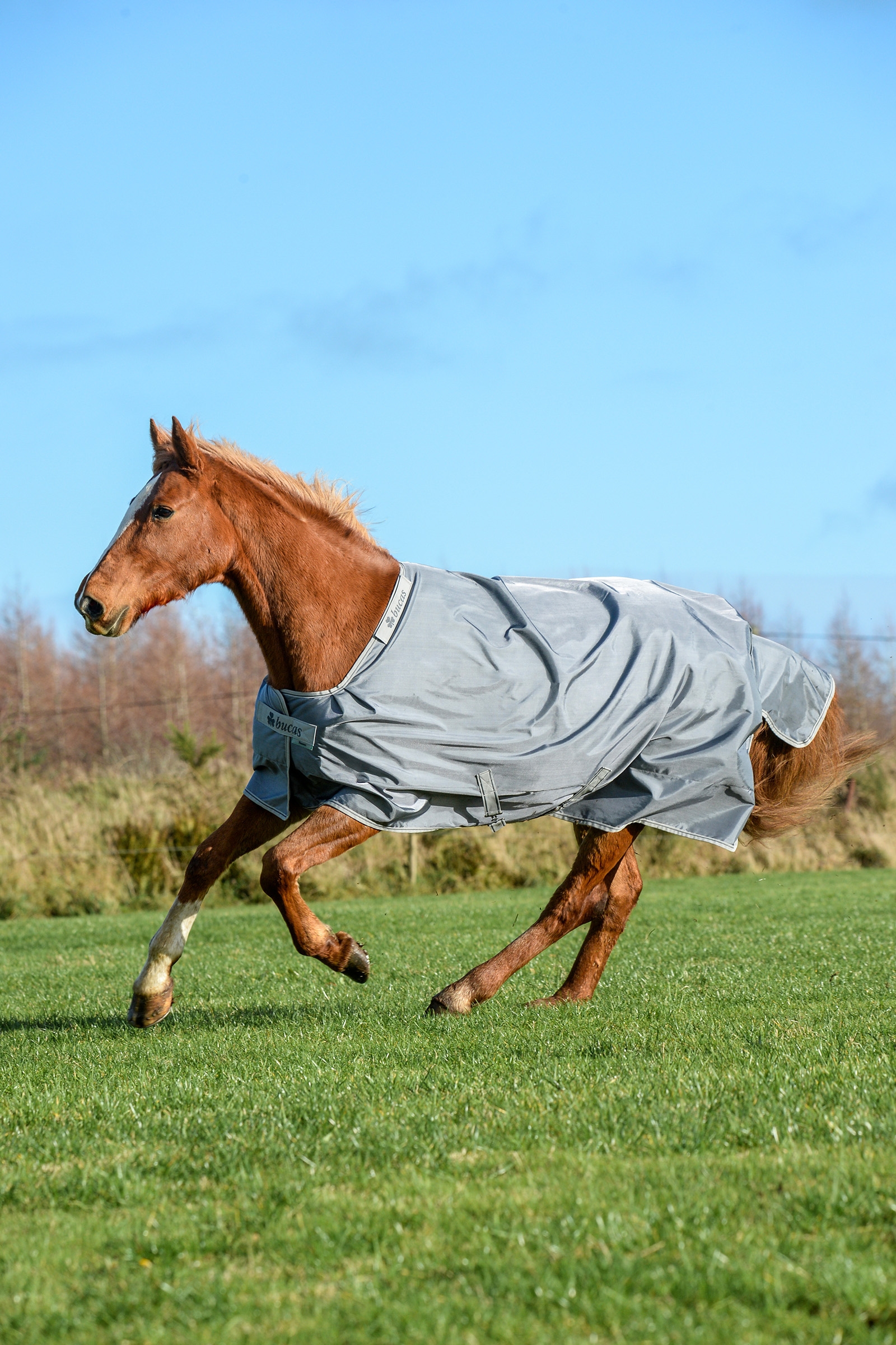 Iron Grey Manta Bucas Smartex Extra 300g