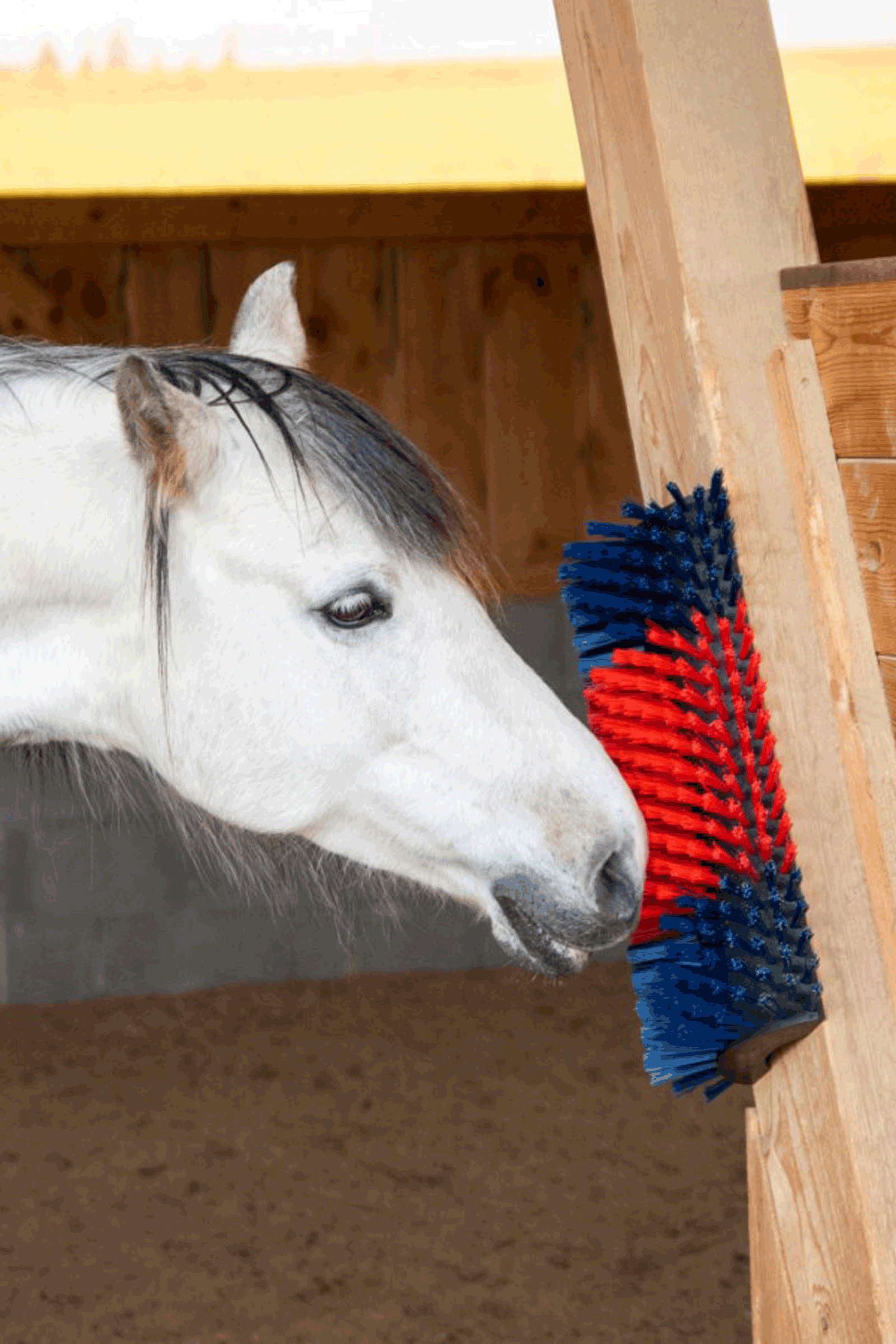 Cepillo rascador XL Kerbl, redondo