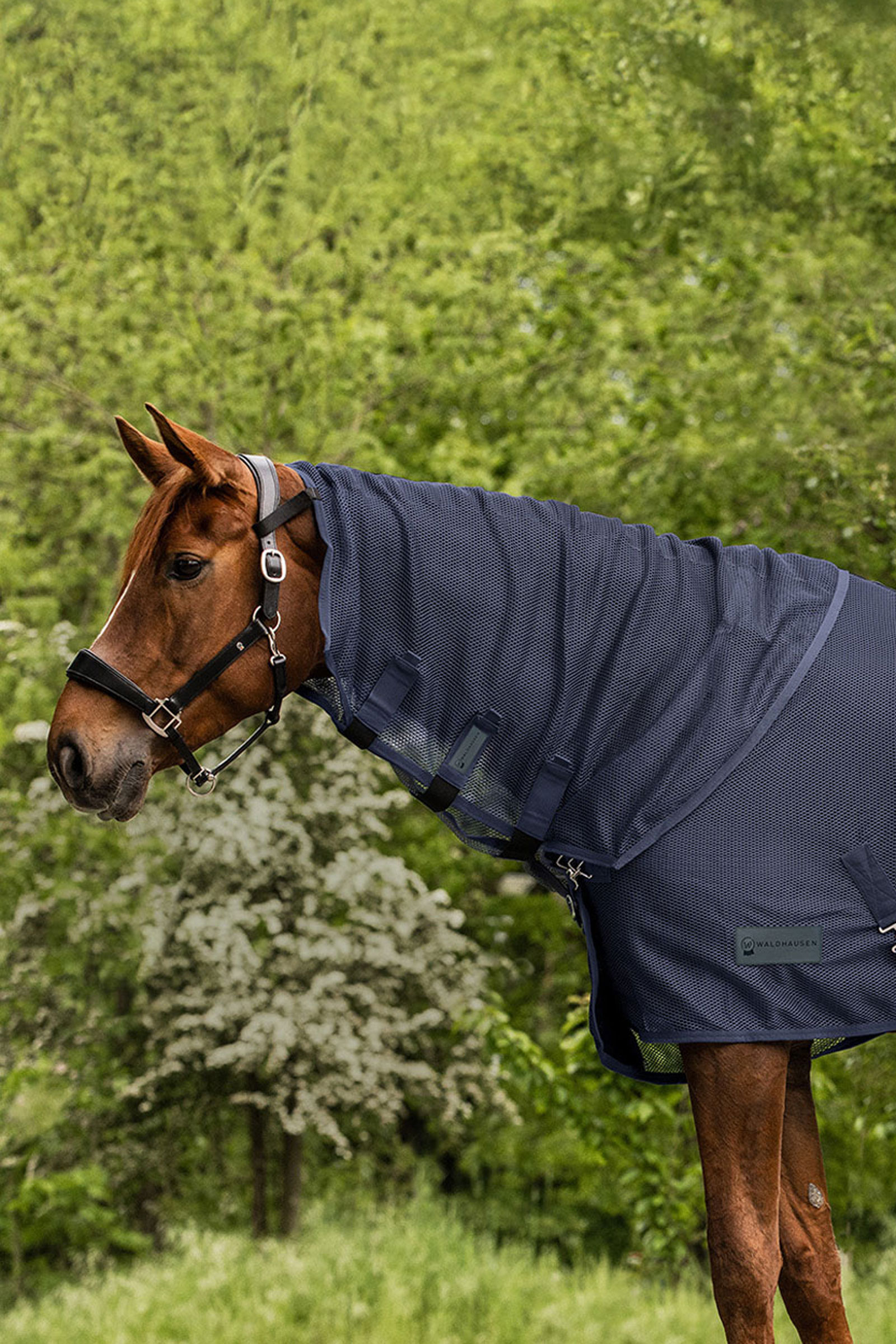 Night Blue Waldhausen Comfort protector de cuello antimoscas