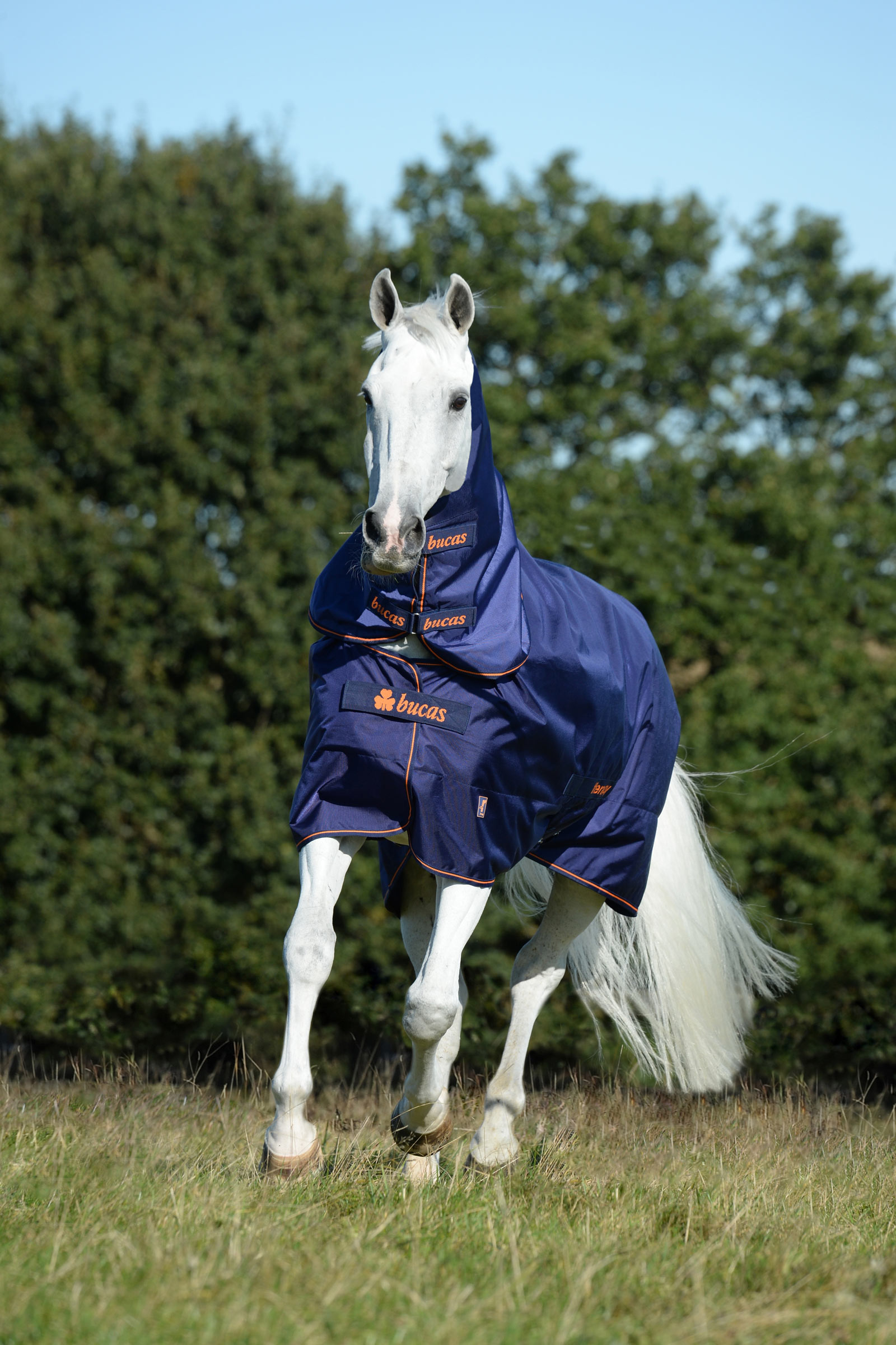 Bucas Therapy cubre cuello