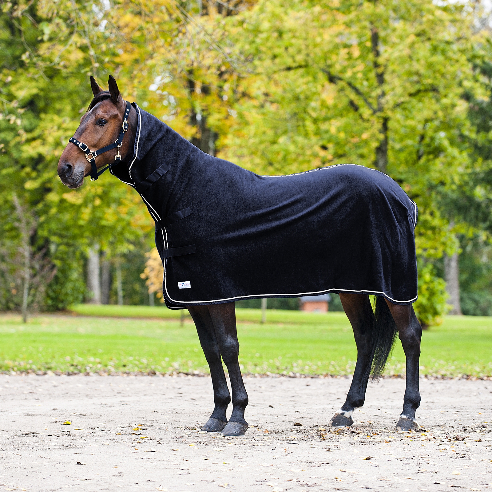 Dark Blue/Dark Blue High Neck cooler rug II