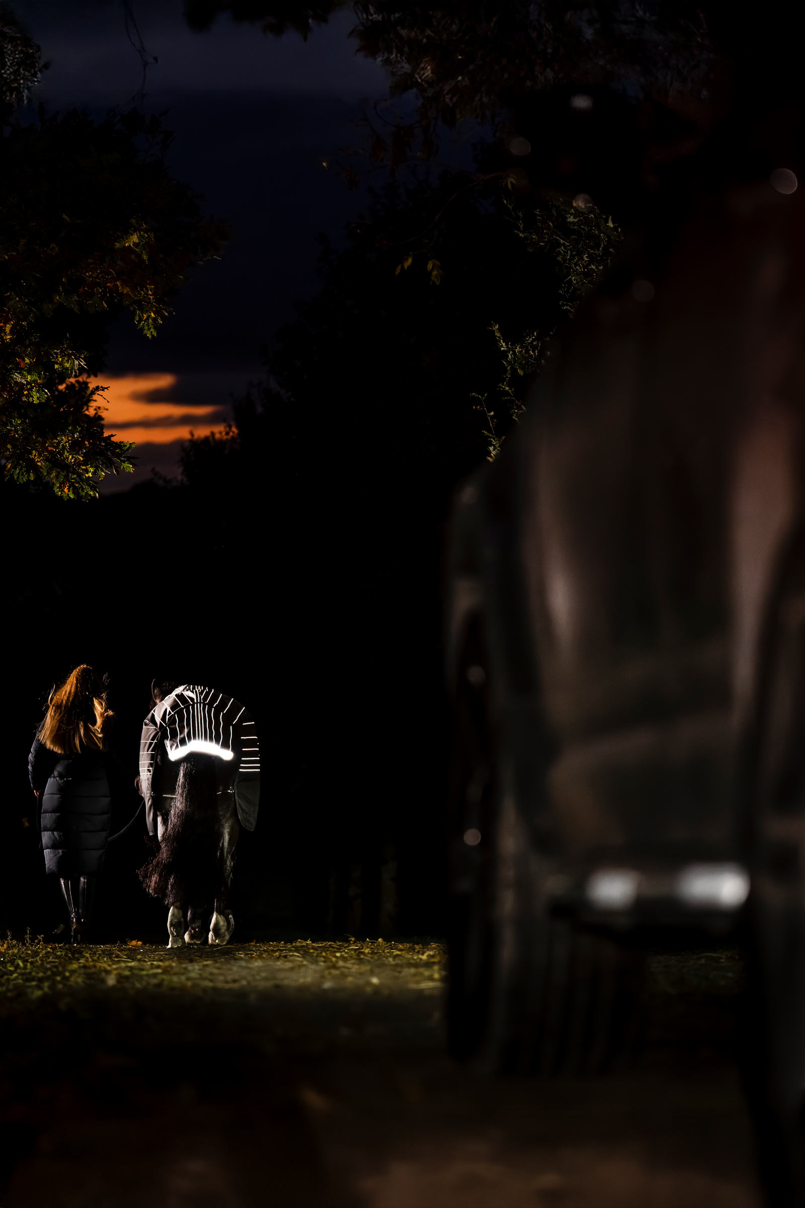 Horseware Amigo 1200D FieldSafe Reflectech Plus manta de exterior, 100 g