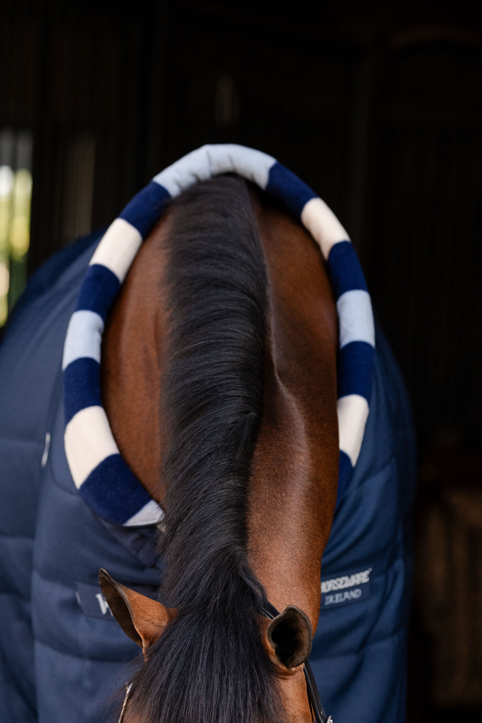 Horseware Newmarket Cosy Manta de Cuadra 100g