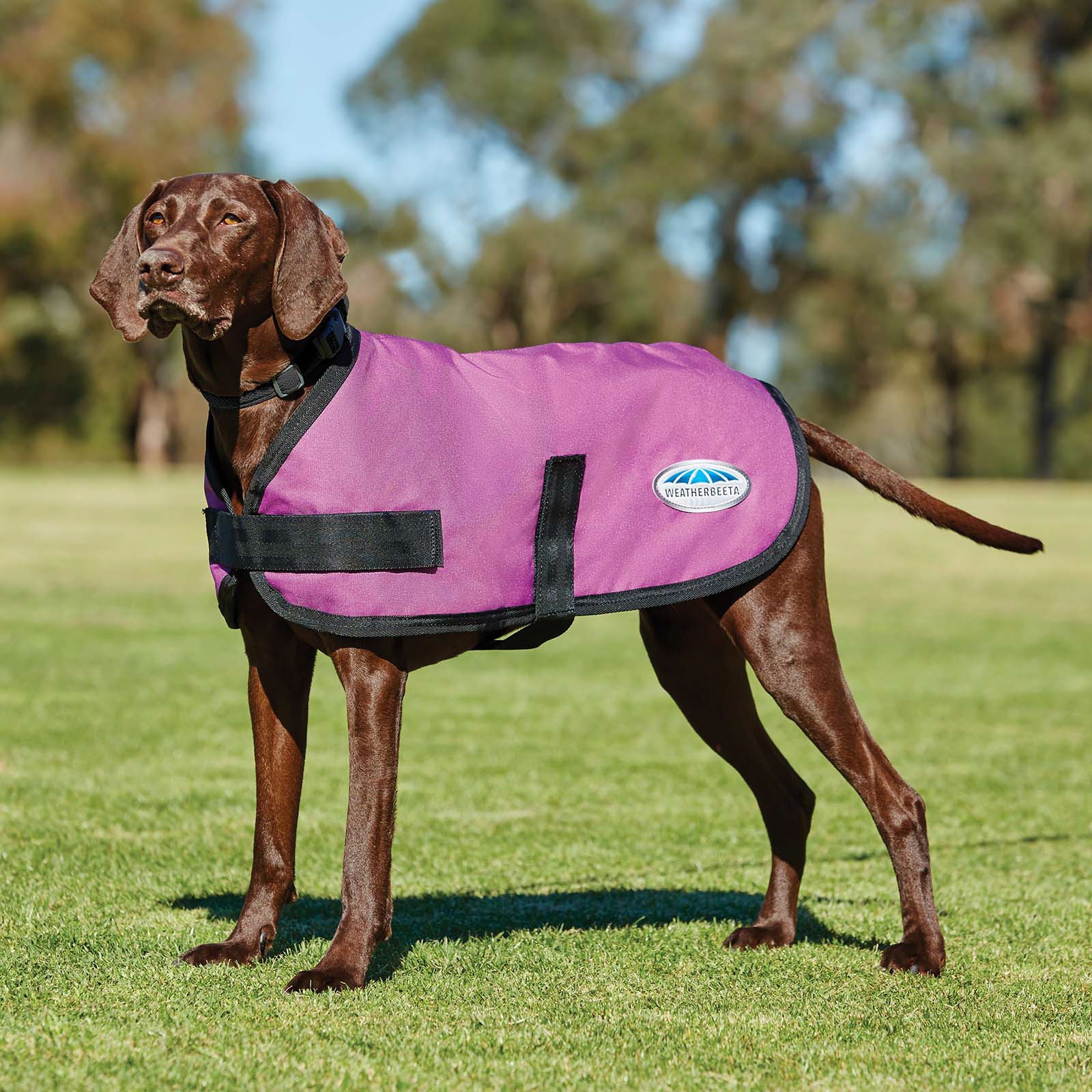 Pink Abrigo para Perro Weatherbeeta Comfitec Classic (45-80cm)
