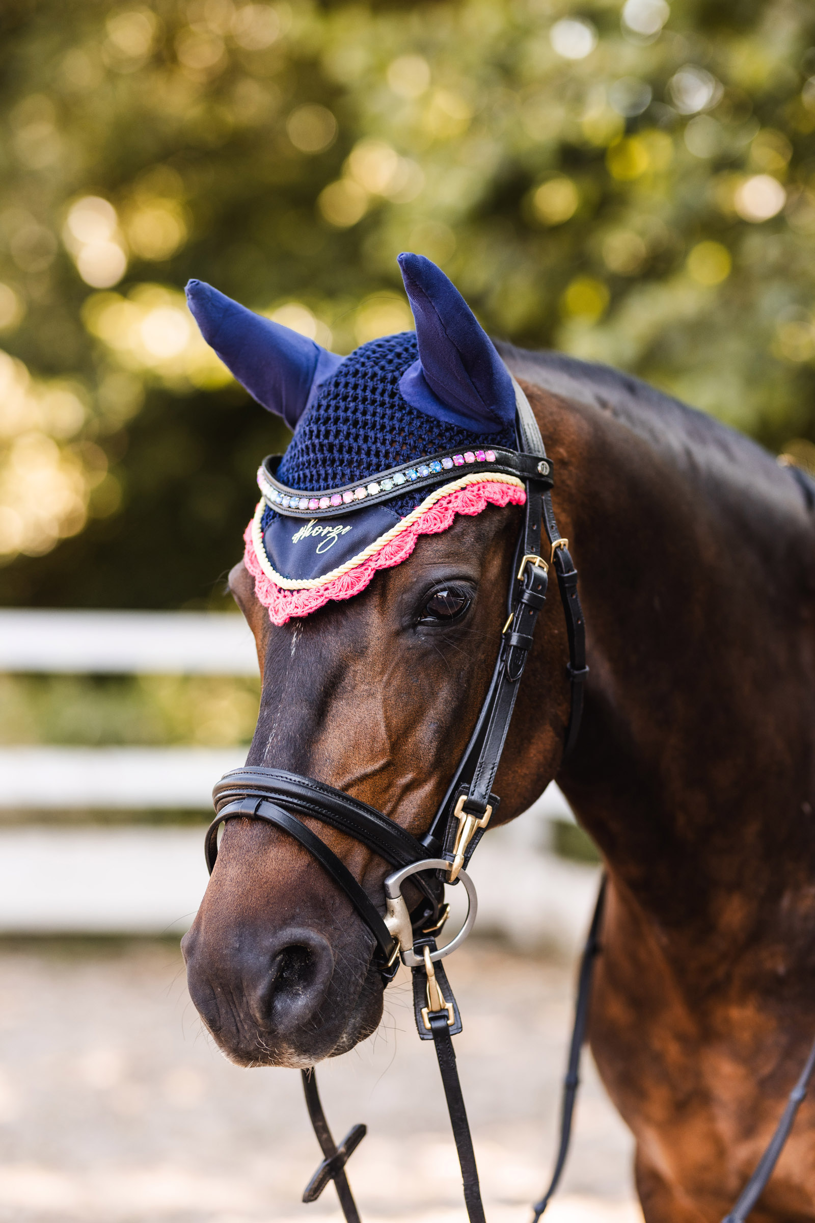 Orejeras para Poni Horze Magic Carousel Parte 2