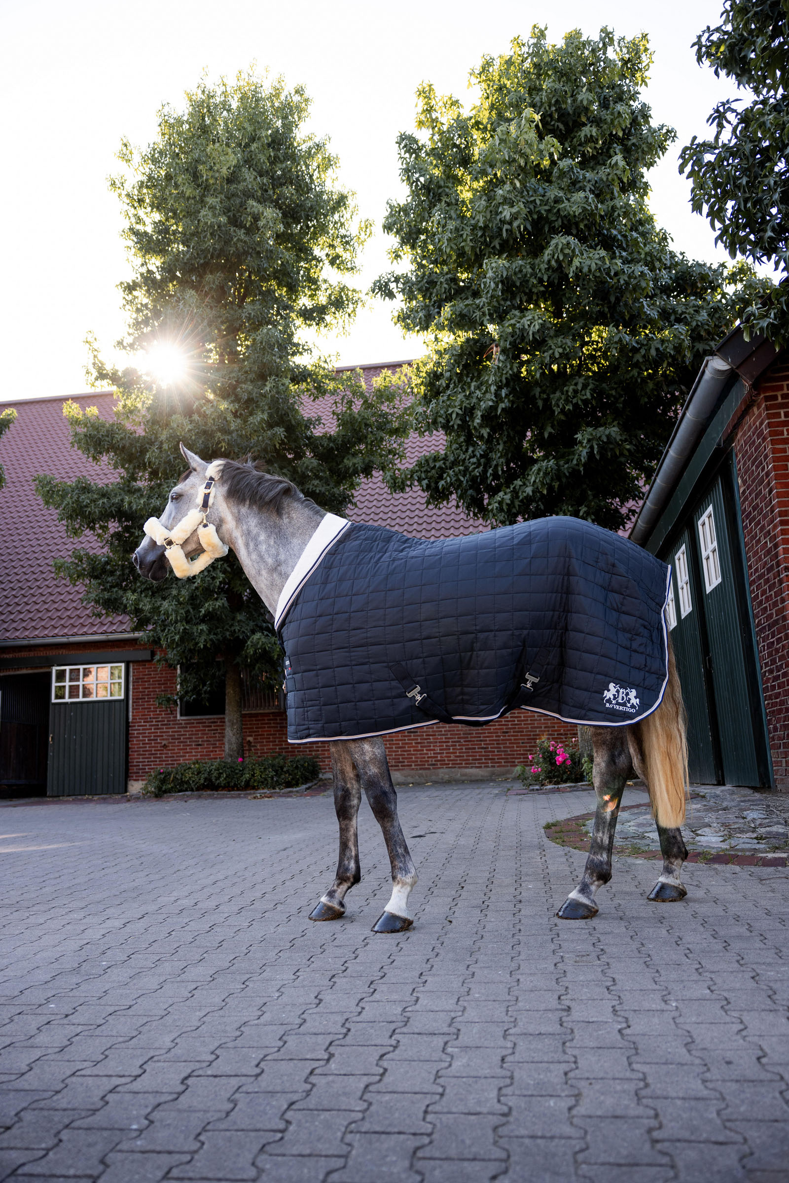 Manta de Cuadra B Vertigo Theo, 150g