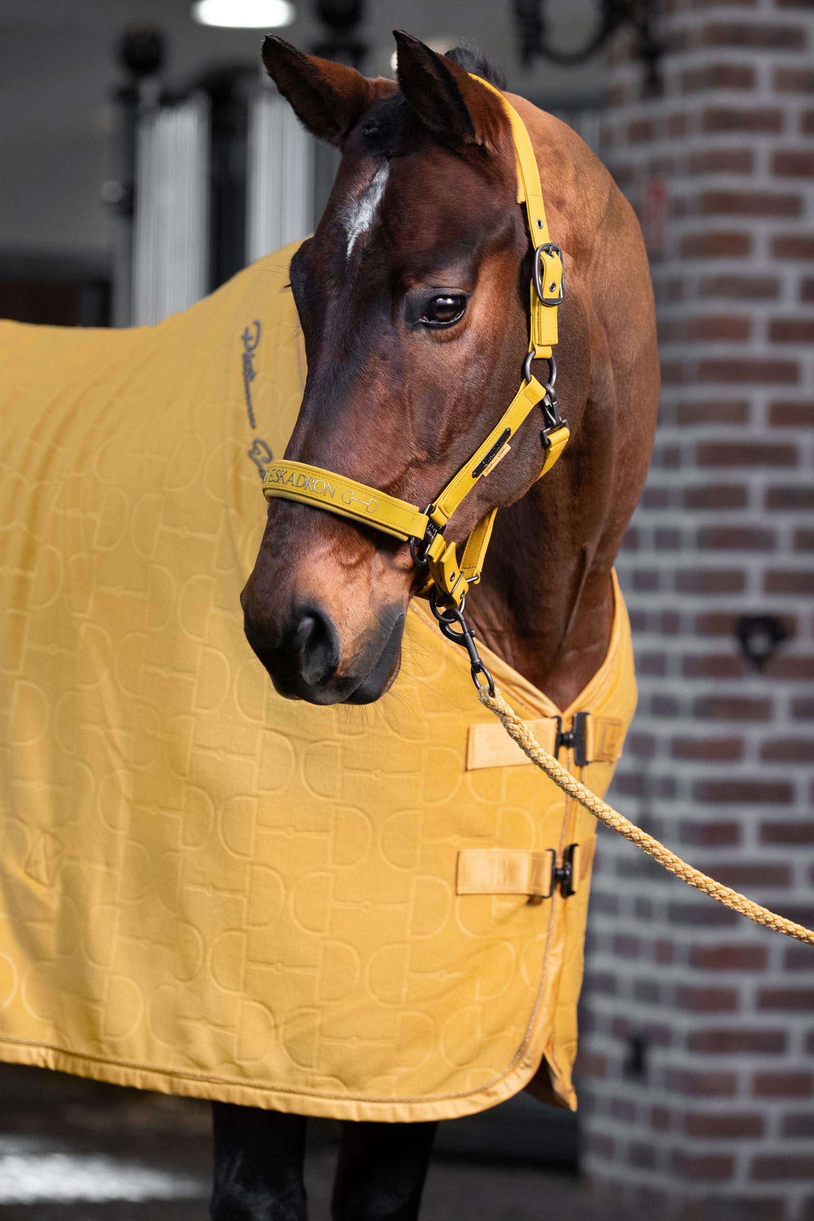 Eskadron Platinum 25 Cabezada de doble pin de cuero sint&eacute;tico