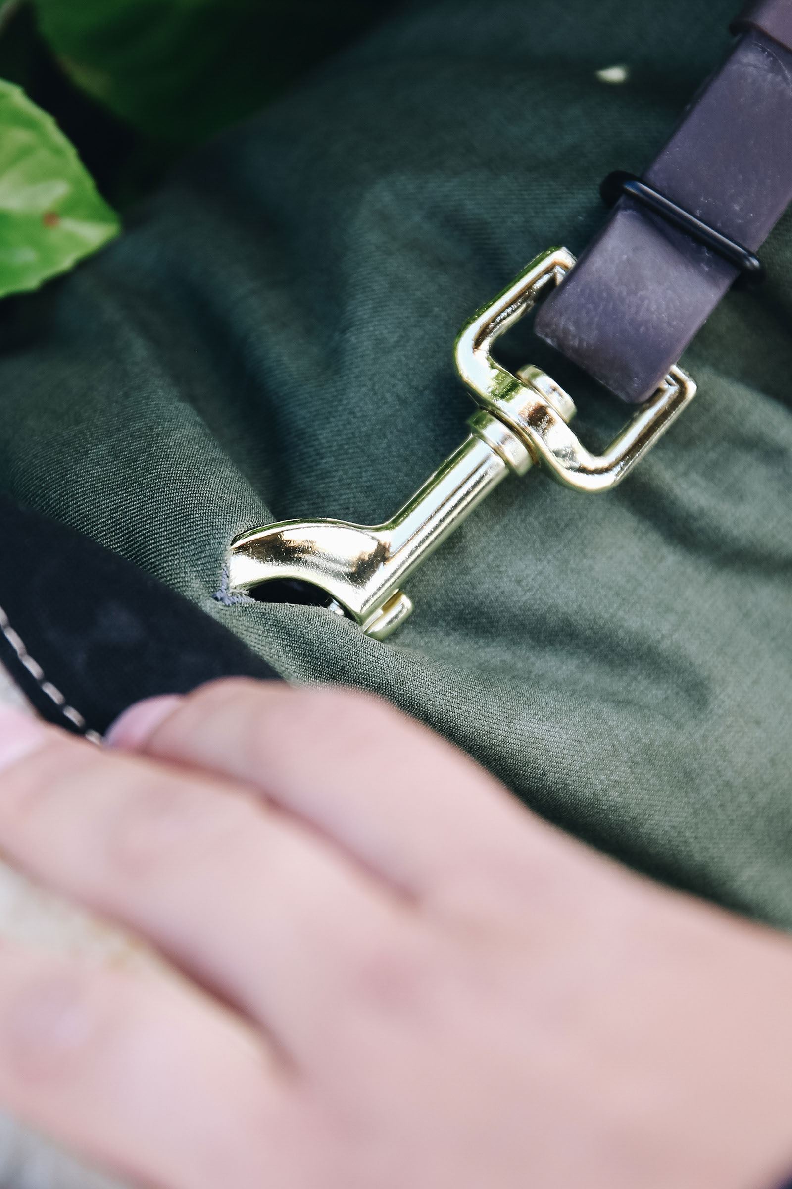 Abrigo impermeable para perros Kentucky Dogwear