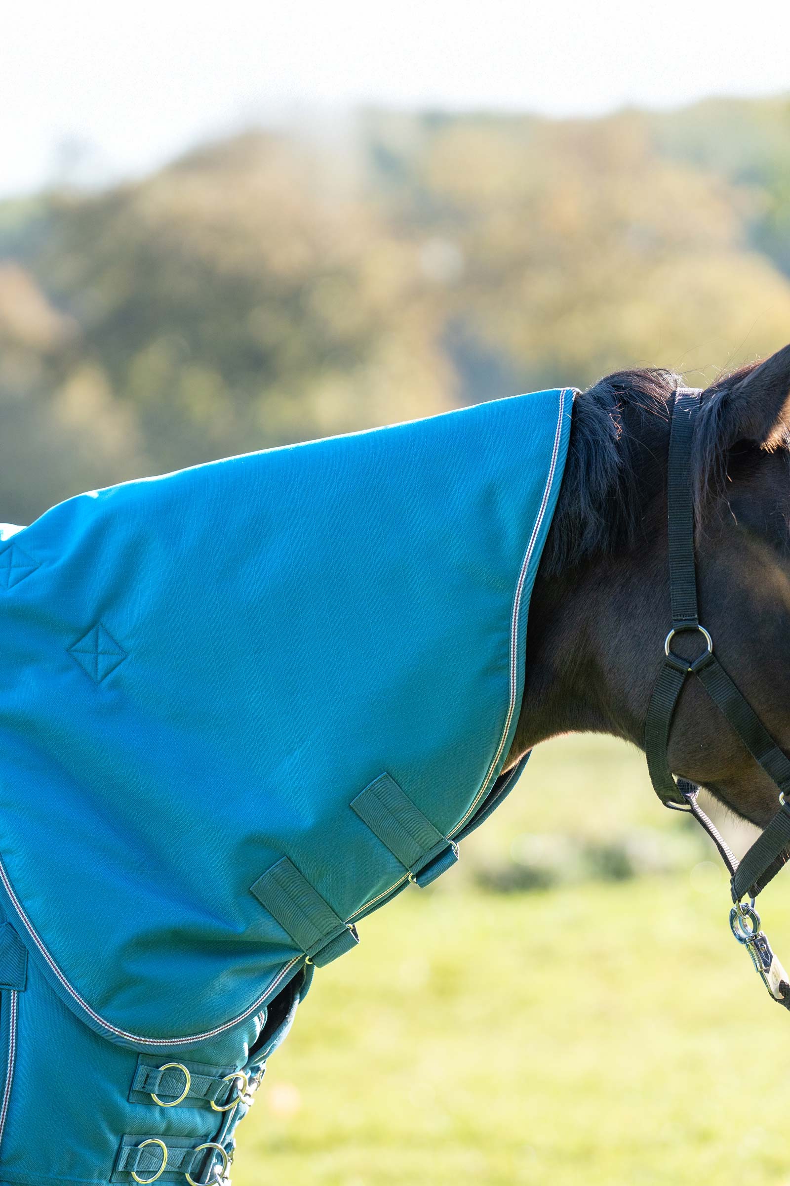 Petrol/Petrol-Bordeaux-White Cuello Kavalkade para Alaska IV, 100 g