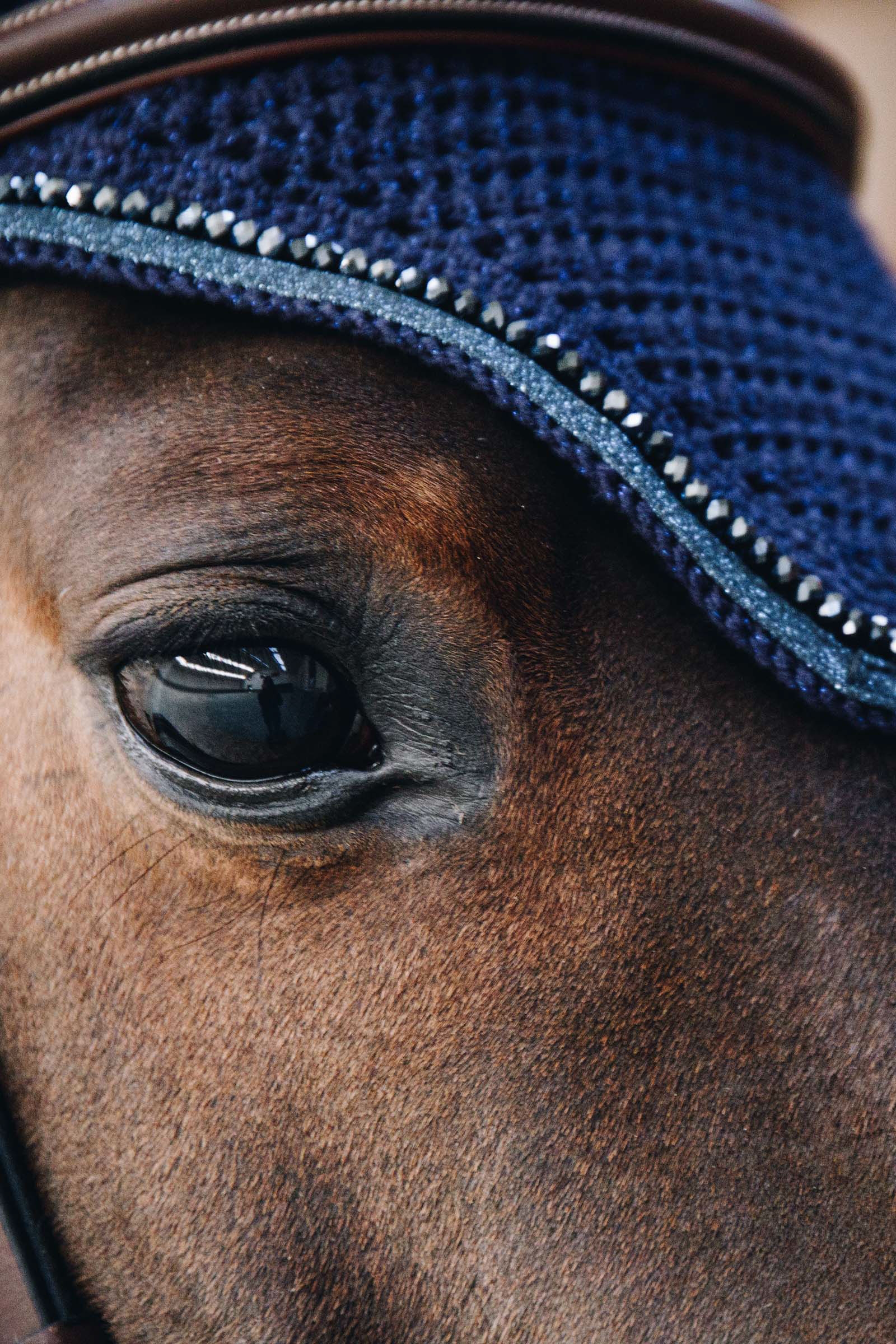 Kentucky Horsewear orejeras antimoscas Wellington con brillo  