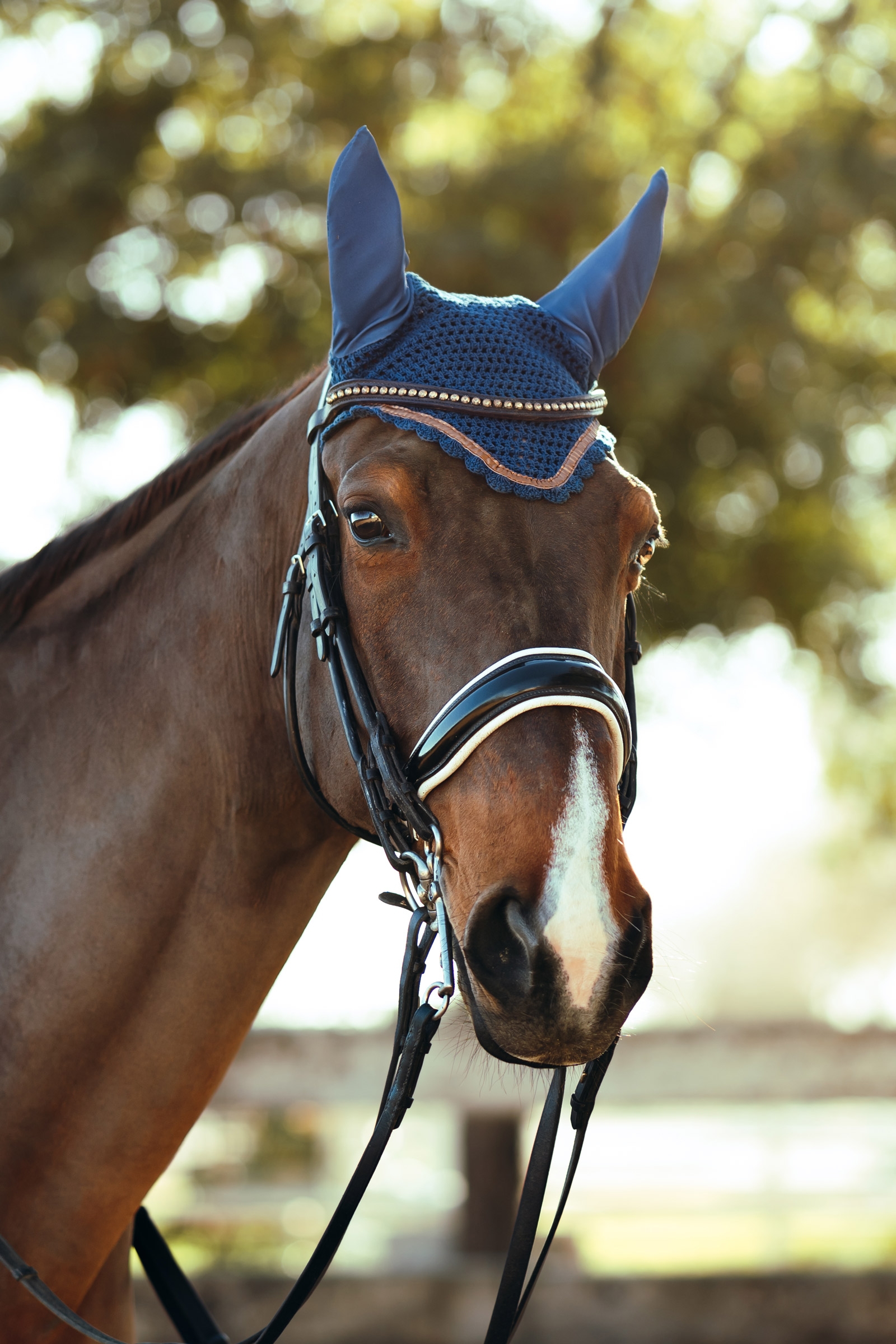 Orejeras con Detalle Metálico Horze Munich