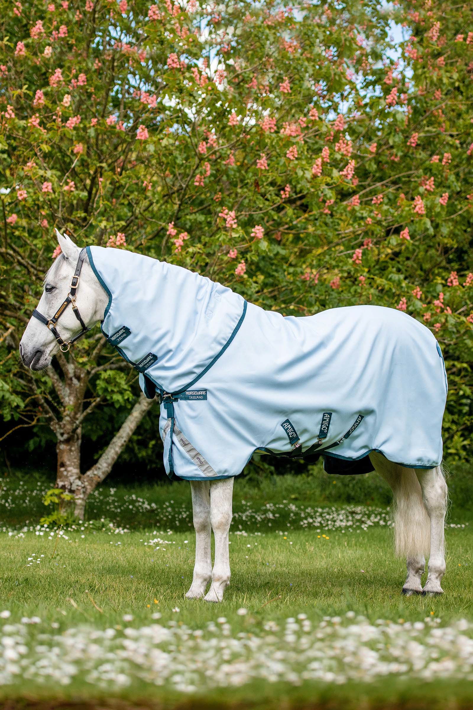 Manta de Exterior Tinte de Planta Horseware Amigo, 50g