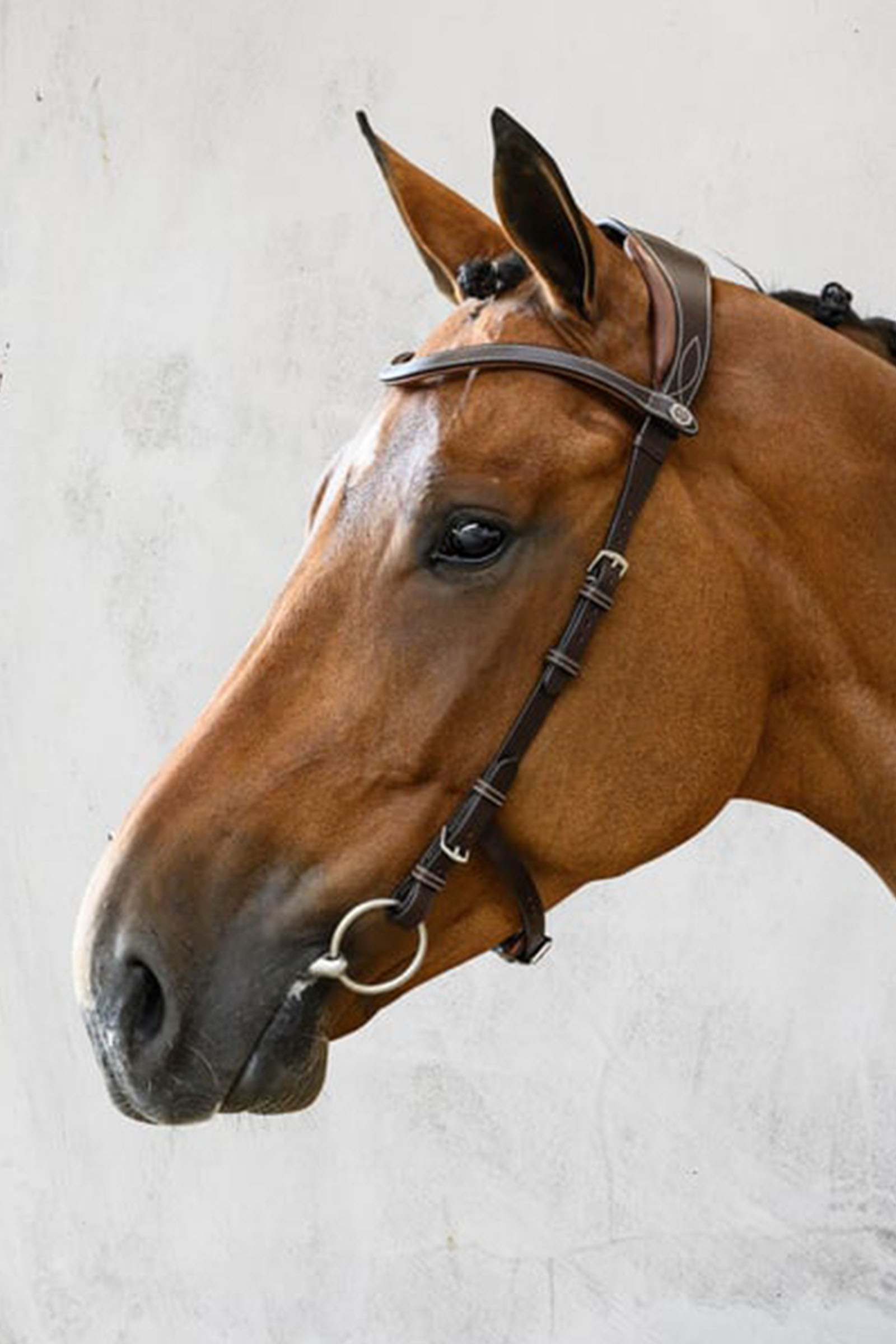 PS of Sweden Helsinki Cabezada