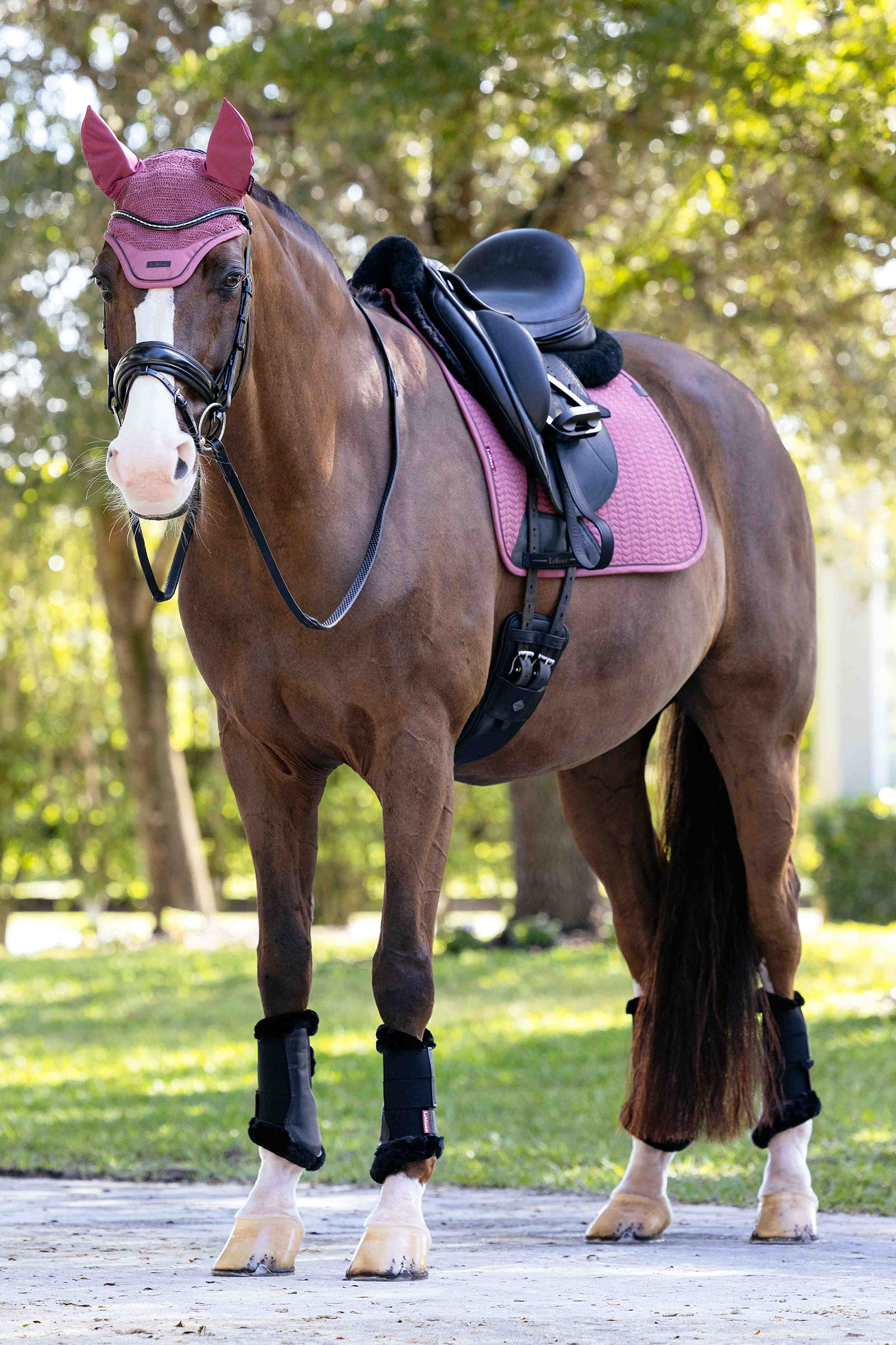 LeMieux Essence Mantilla doma