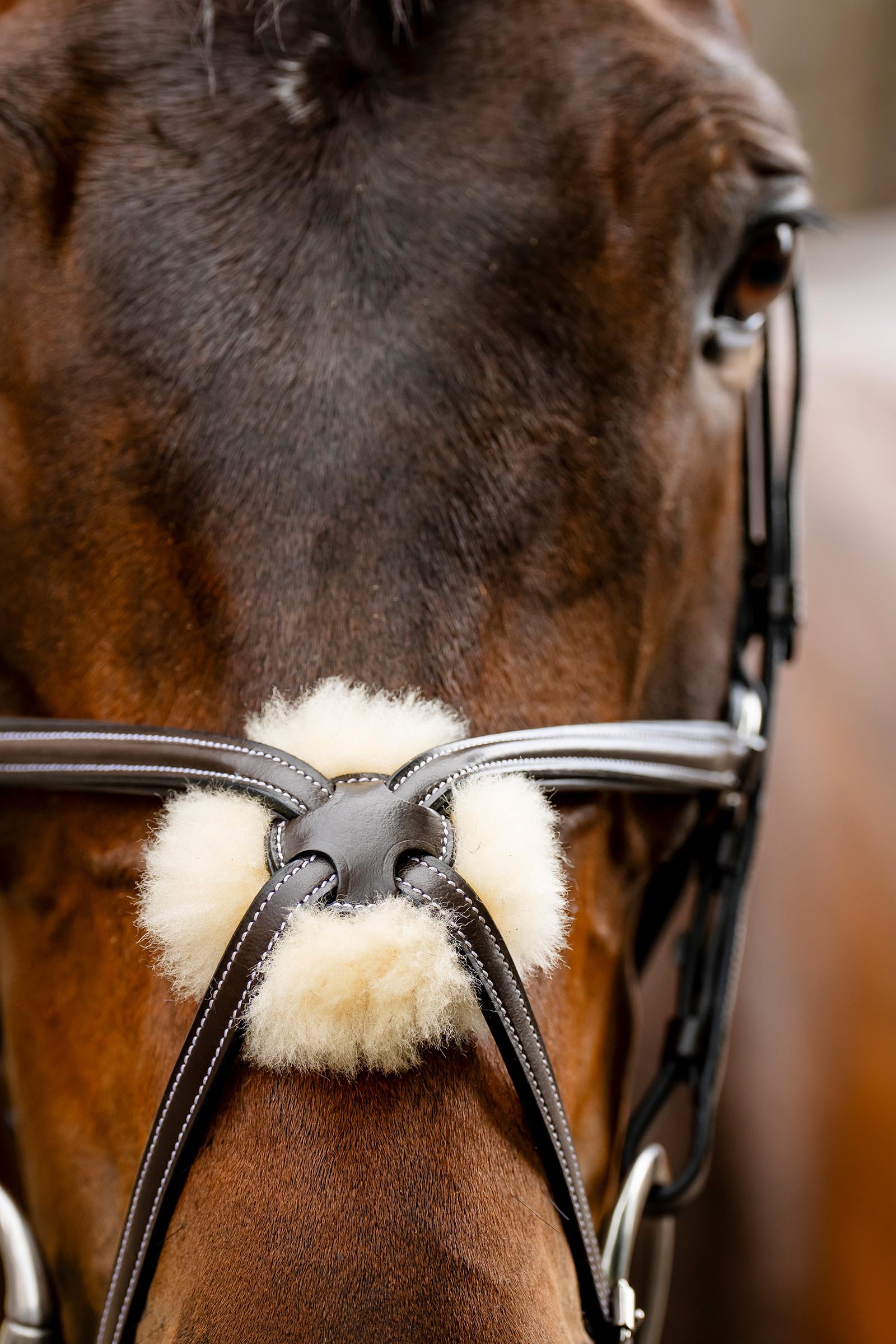 Horseware brida con muserola cruzada