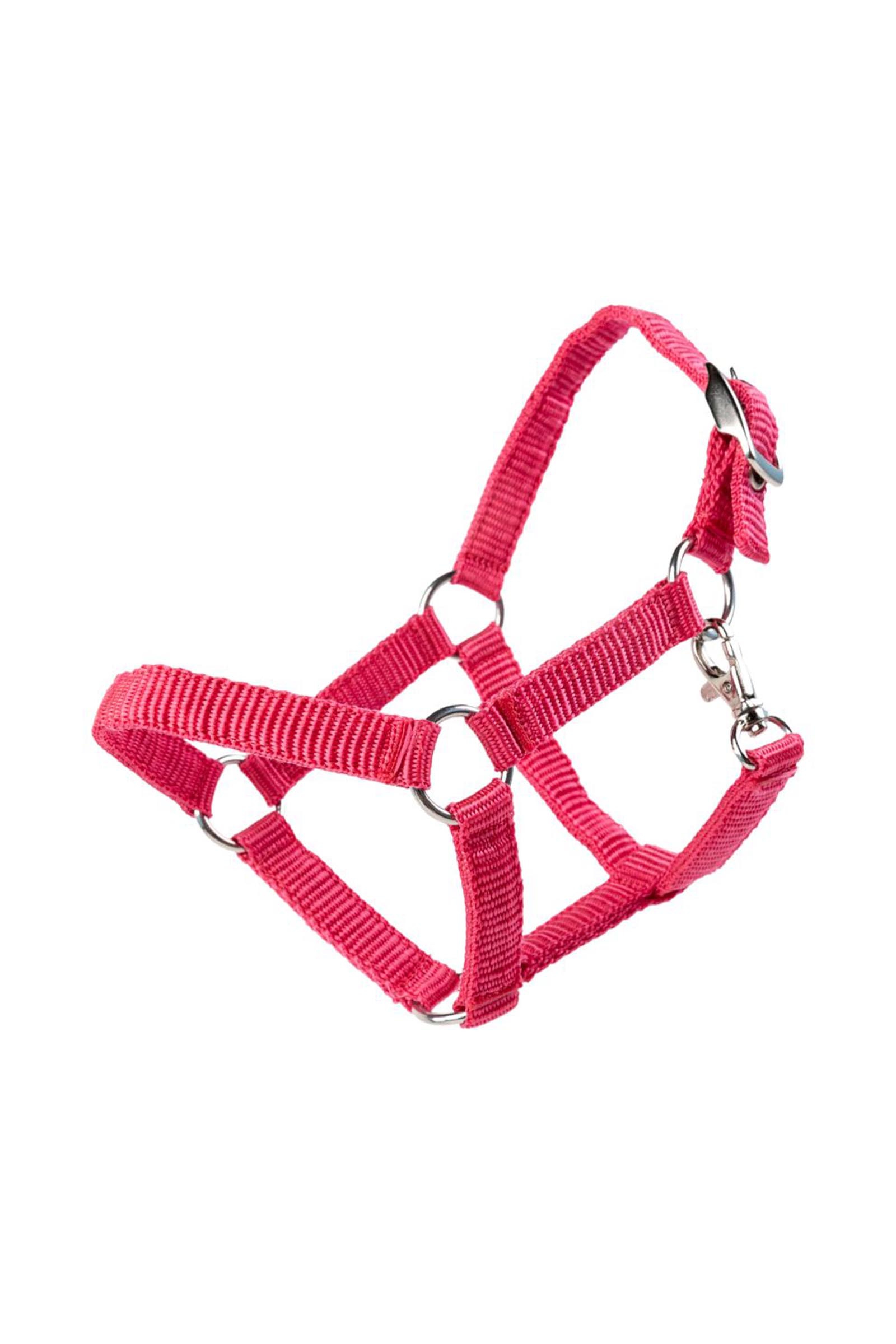 My Hobby Horse cabezada de nylon