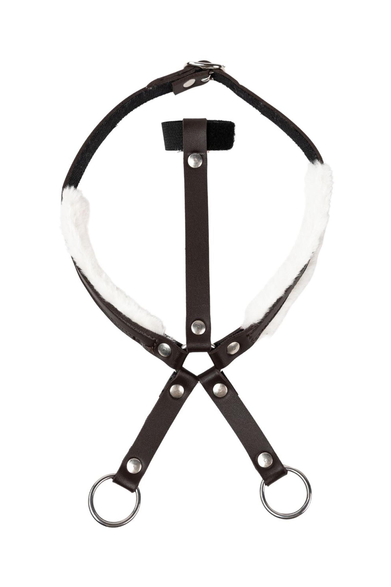 My Hobby Horse martingala