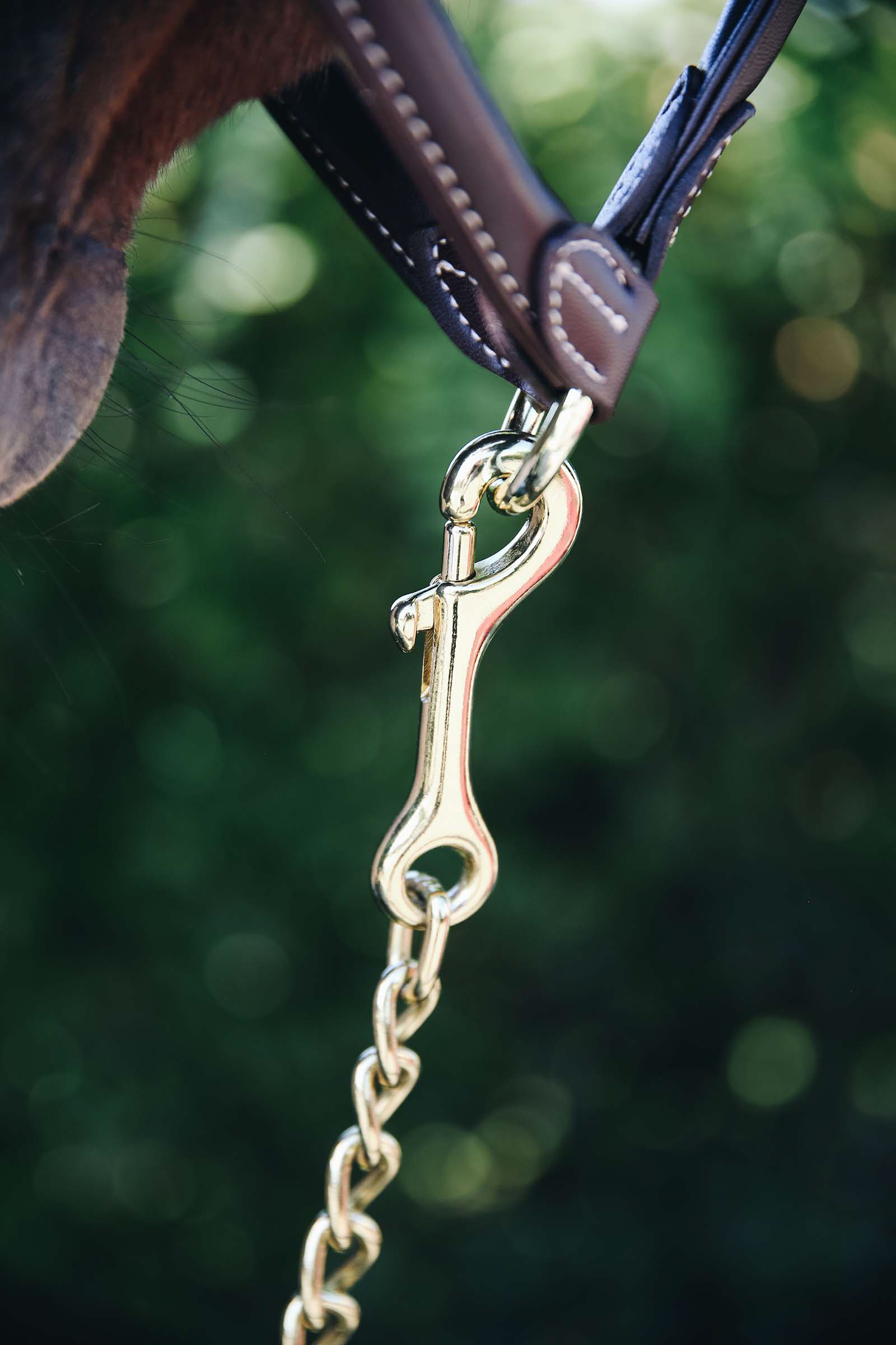 Kentucky Horsewear Cadena Semental 60 Cm