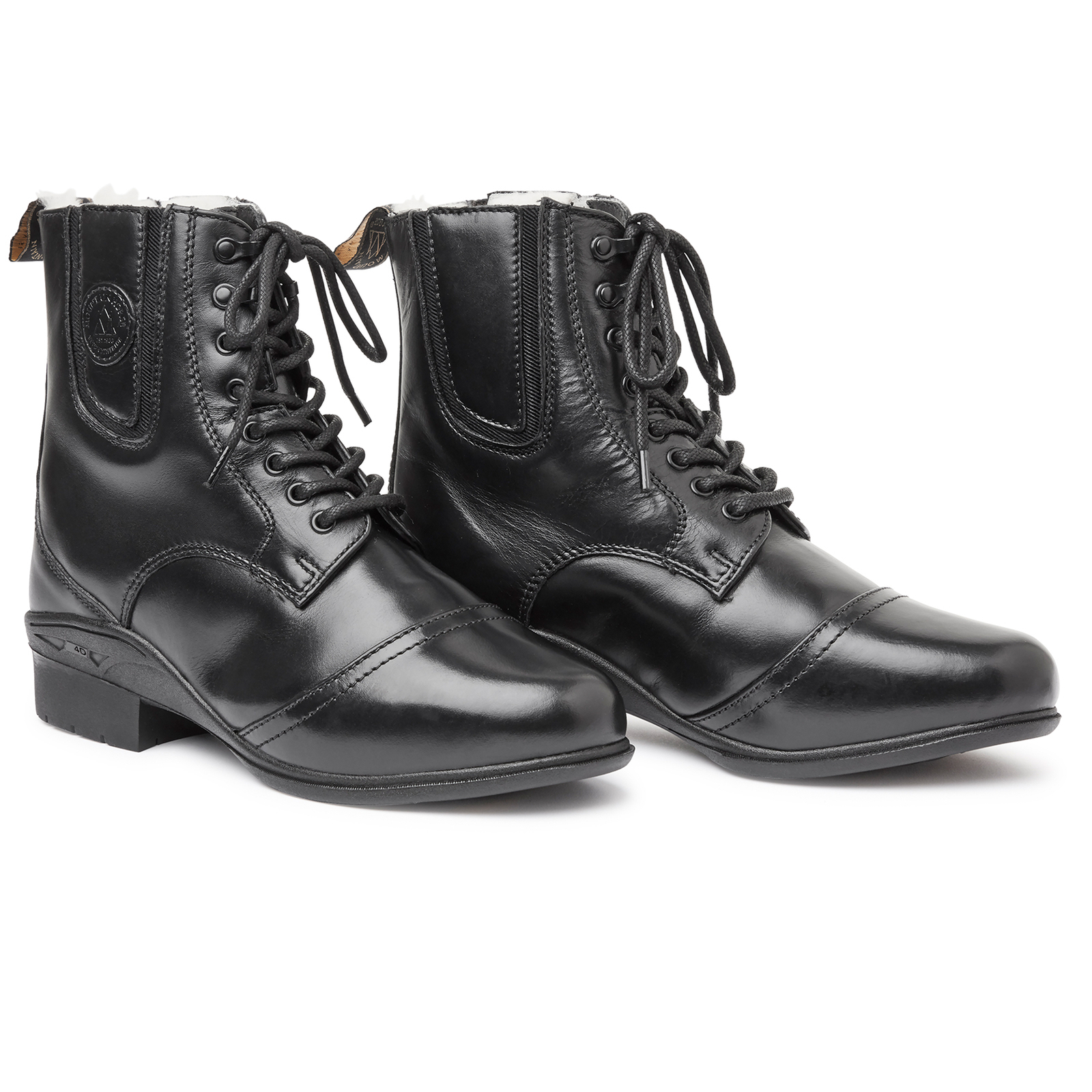 Caballo de montaña Aurora Winter Paddock