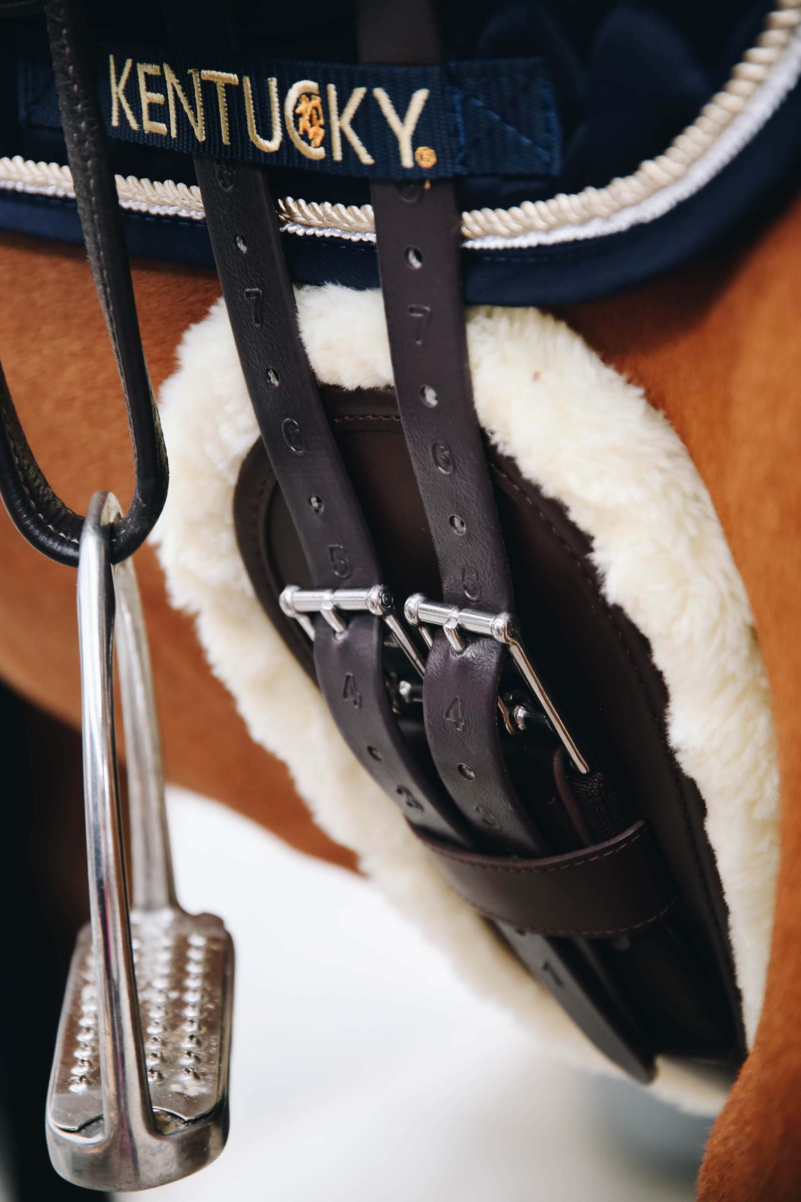 Protector de Cincha Corto Anat&oacute;mico de Piel de Cordero Kentucky Horsewear