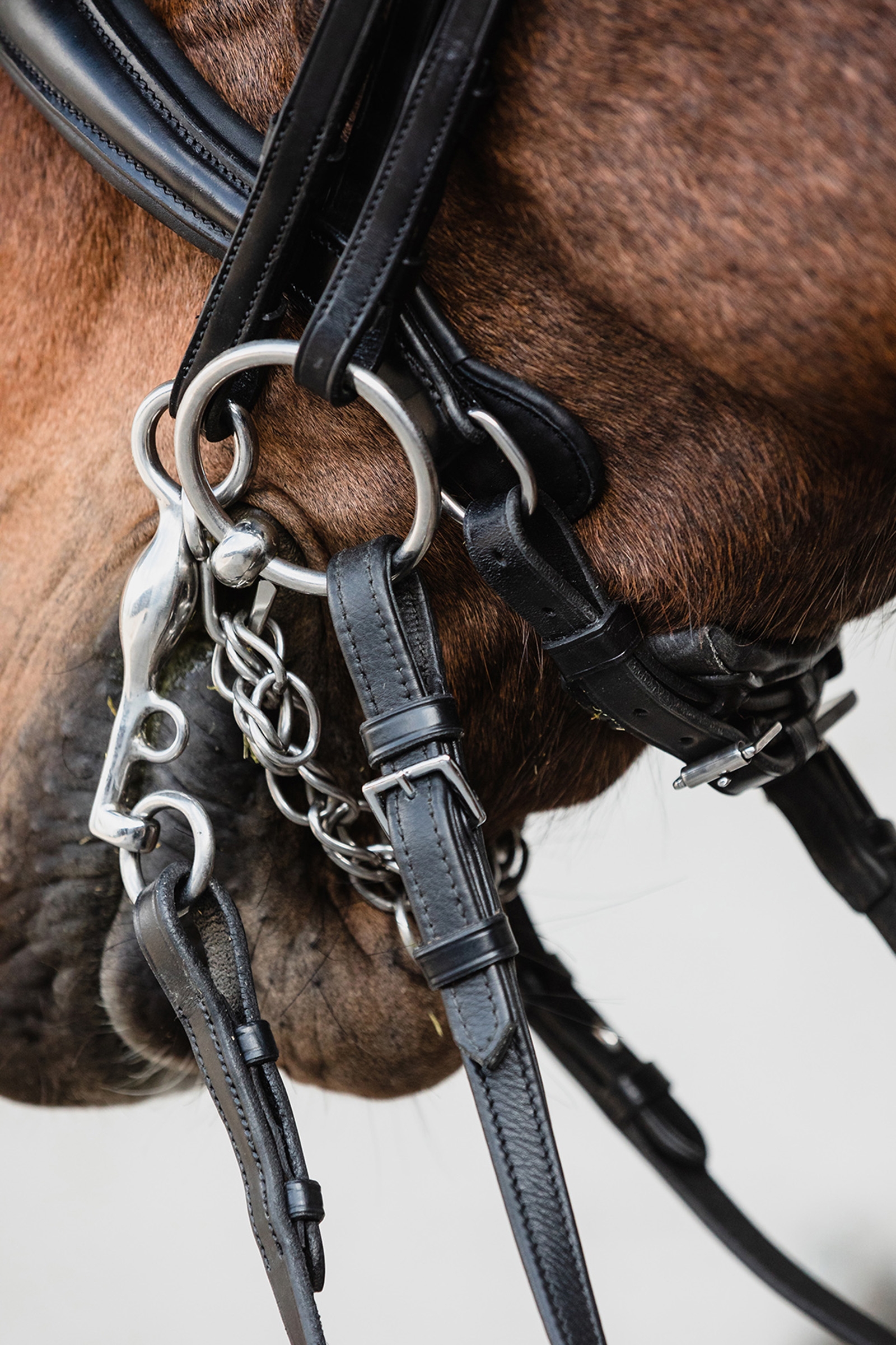 Cabezada doble anat&oacute;mica Schockem&ouml;hle Sports Milton