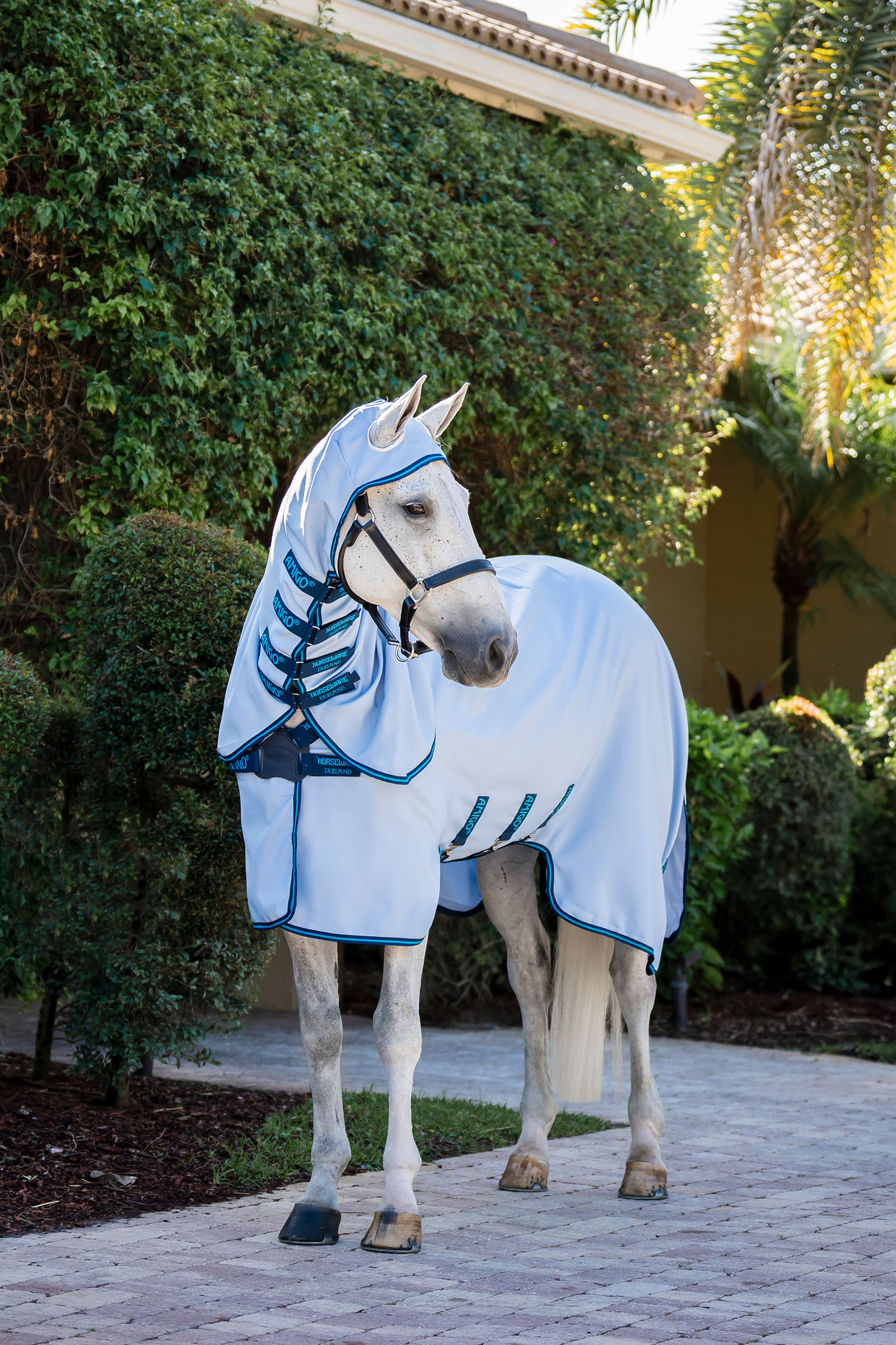 Horseware Amigo Ripstop Manta Anti-moscas