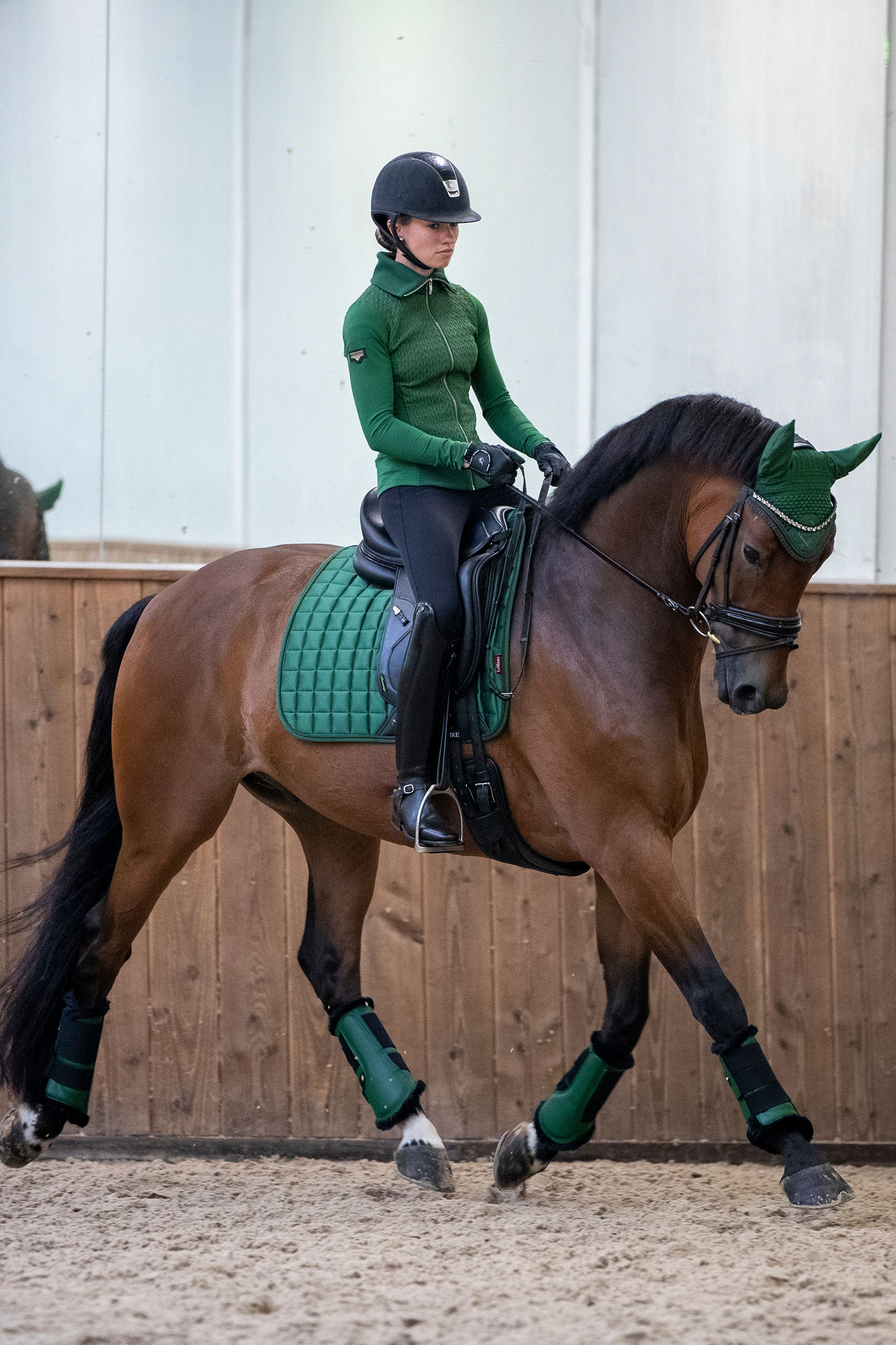 LeMieux Loire Classic mantilla doma