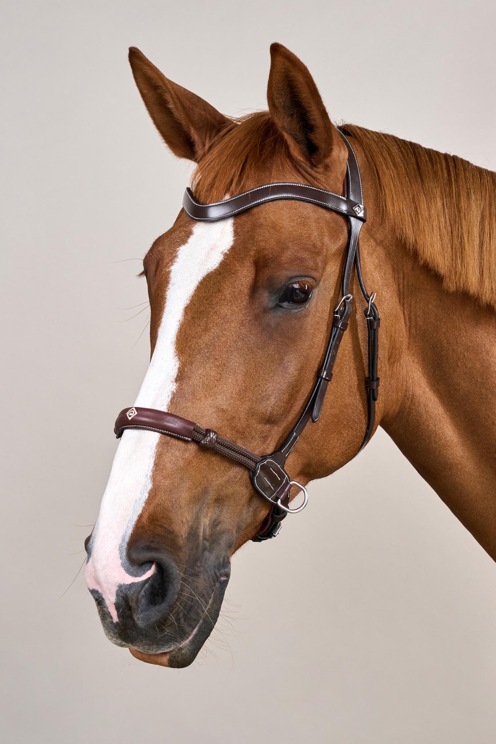 Dy'on Working cabezada sin embocadura  