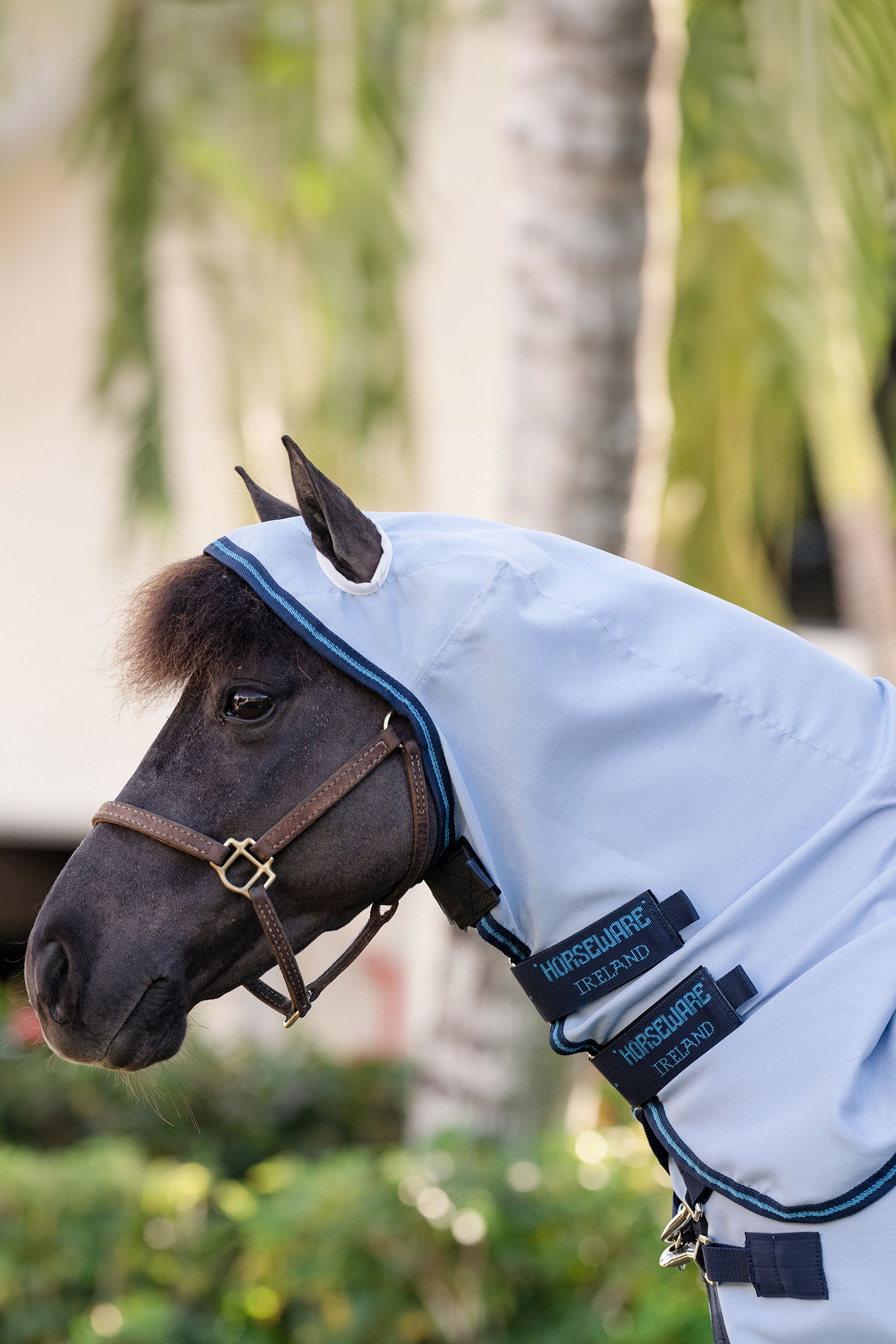 Horseware Amigo Ripstop Hoody Petite, manta antimoscas