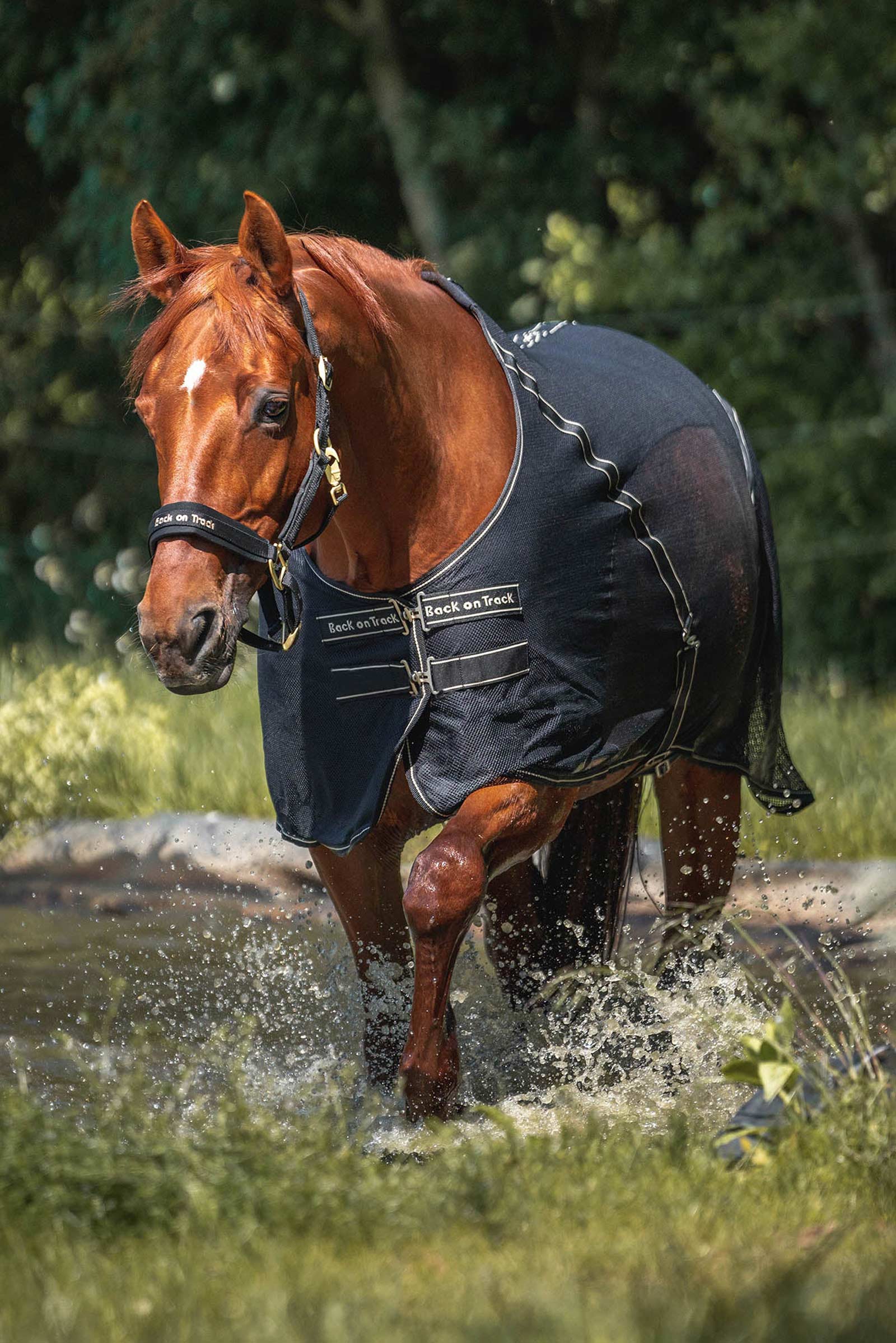 Manta de Secado Back on Track Sienna