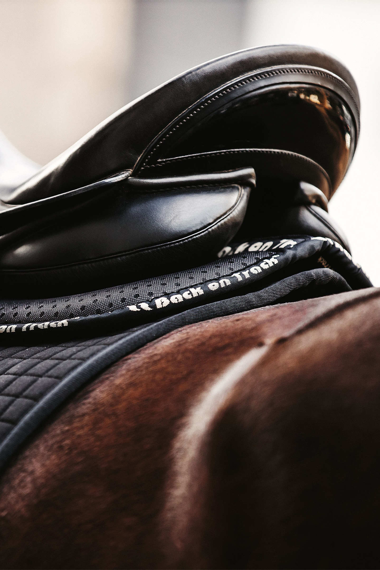 Media almohadilla Back on Track Aurora Impact