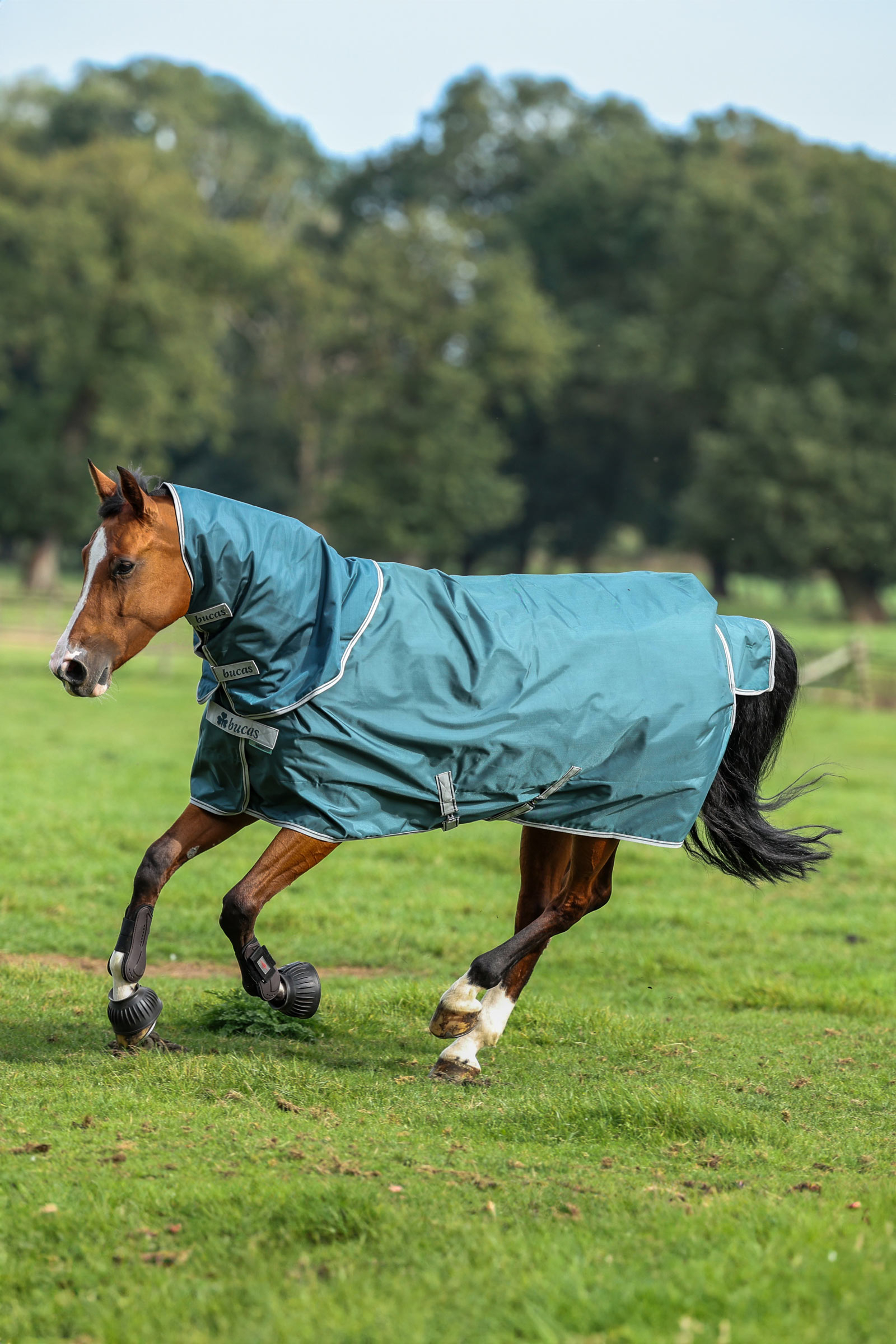 Bucas Atlantic Turnout Cubre Cuello, 50 g