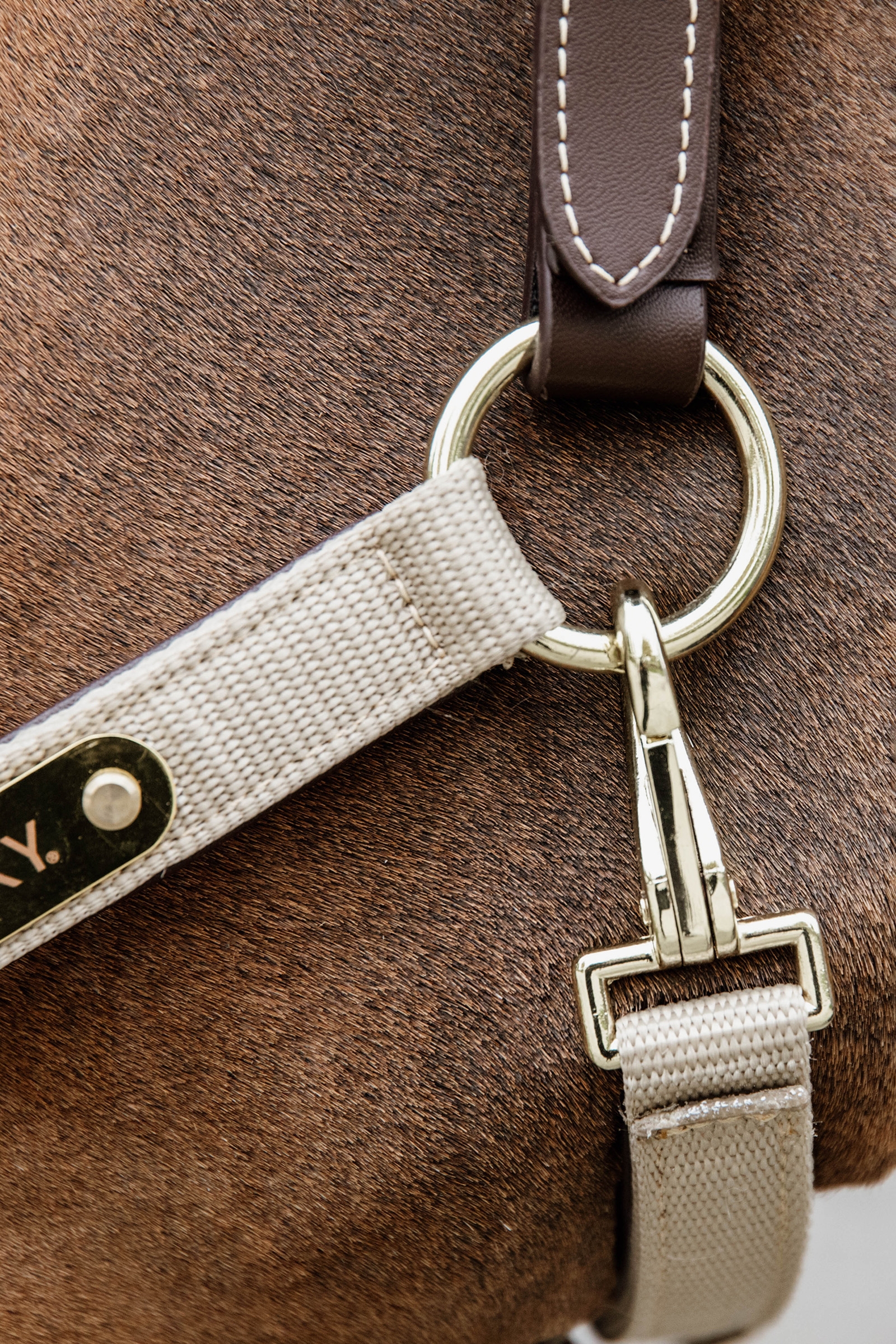 Cabezada de Cuadra Anatómica de Nylon Kentucky Horsewear