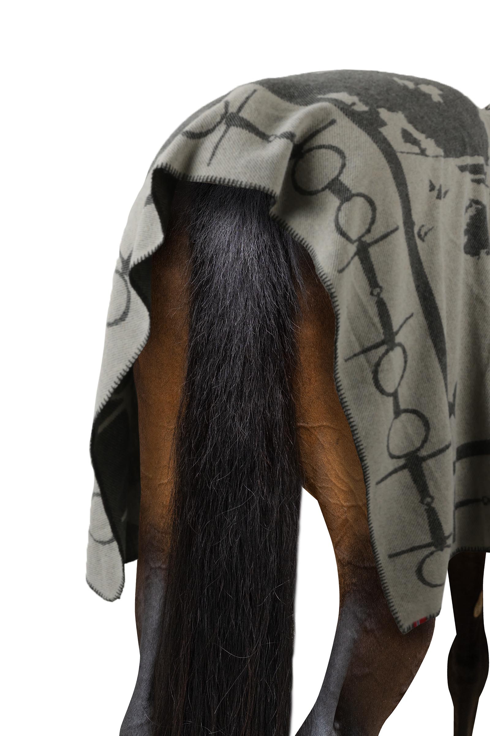 B Vertigo Manta estampada con caballo y bocado