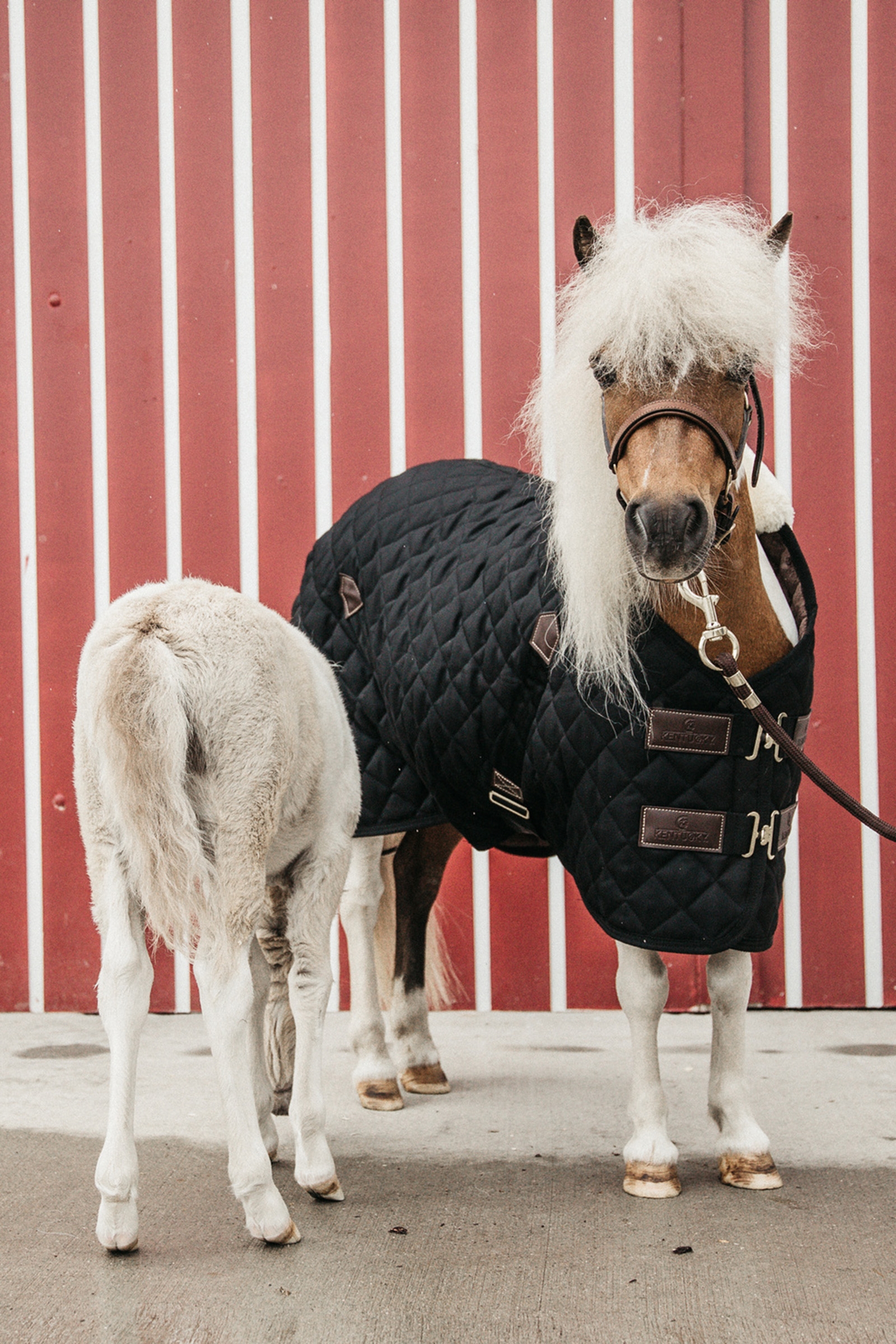 Manta de Cuadra Kentucky Horsewear, 400g