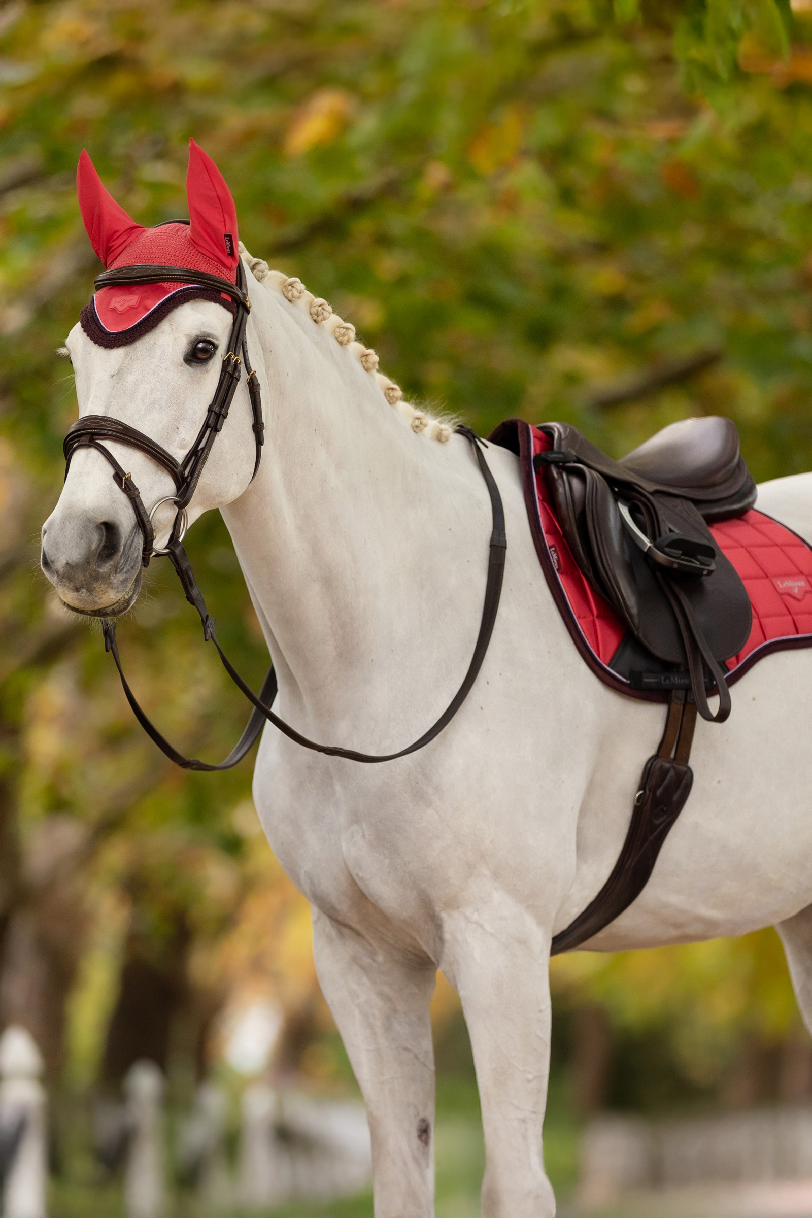 Orejeras LeMieux Loire