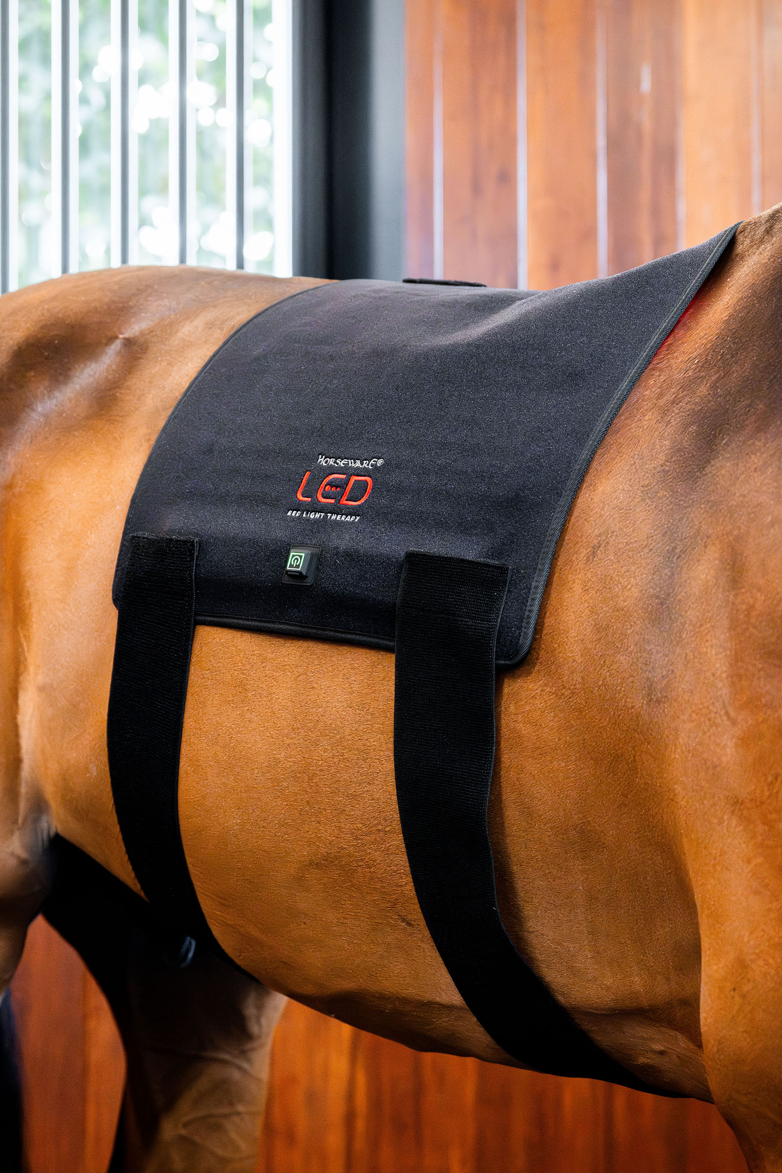 Horseware Pad terap&eacute;utico LED de luz roja