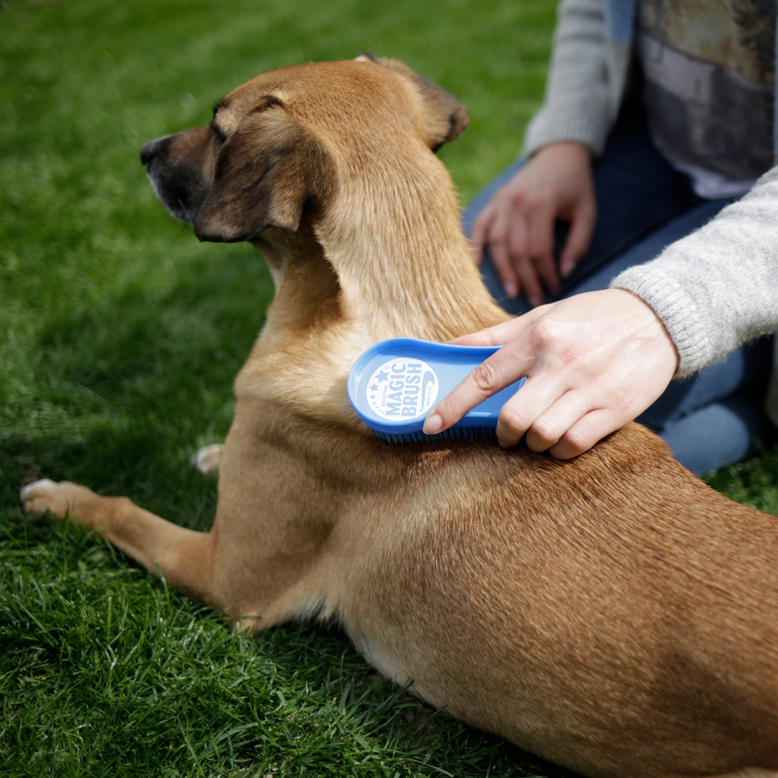 Cepillo m&aacute;gico para perros Kerbl
