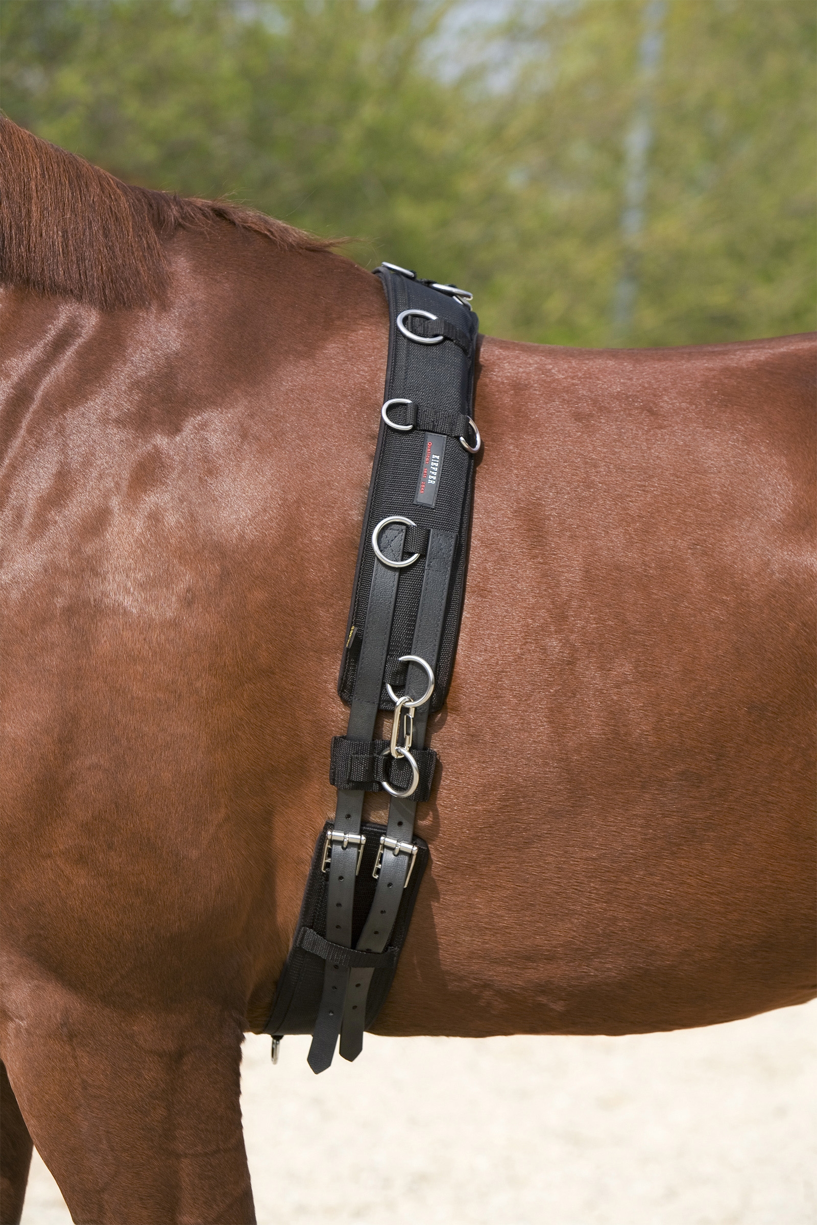 Circunferencia de ataque de Kieffer