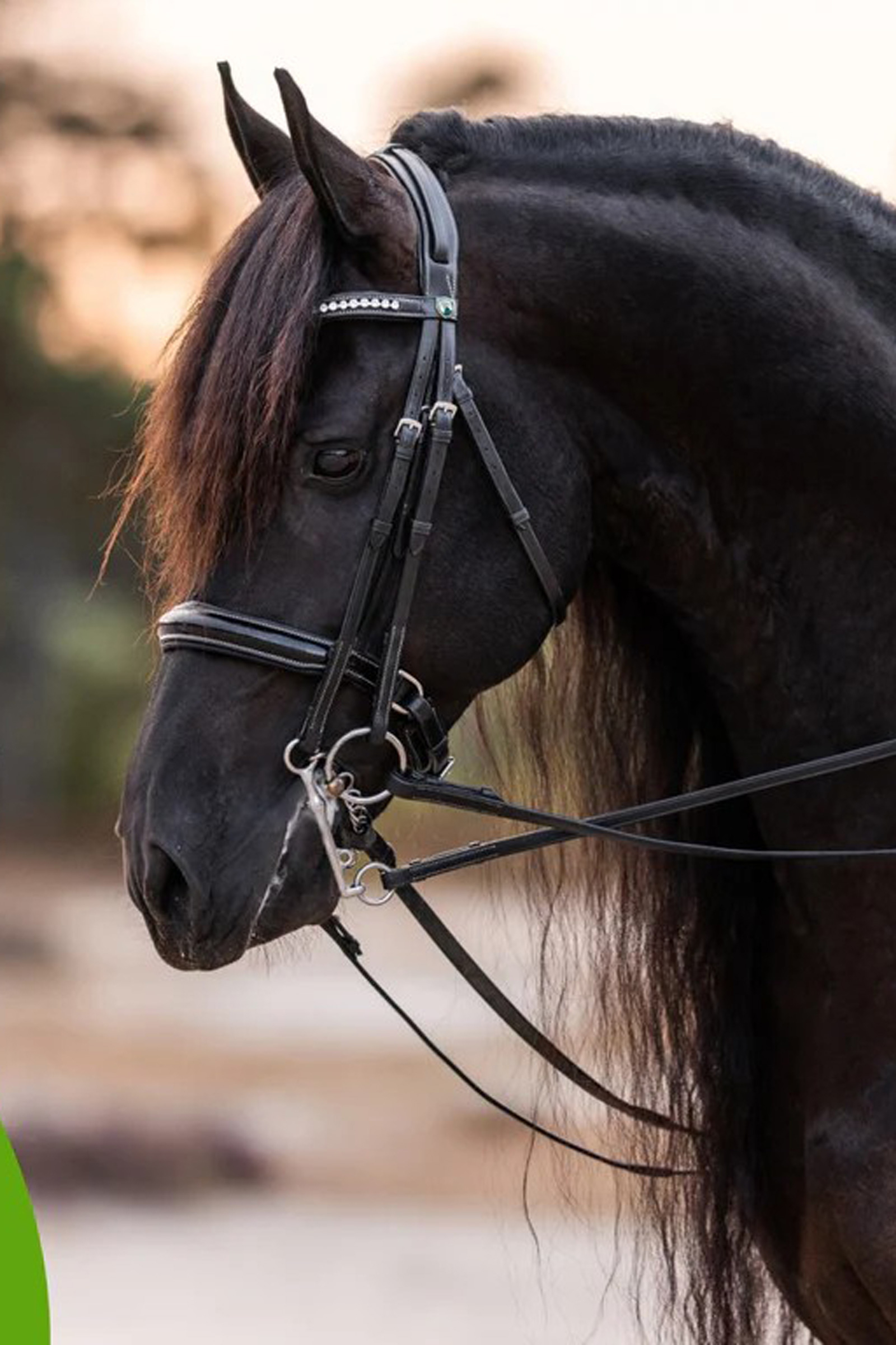 Cowboy Magic Detangler & Shine™ 473 mL